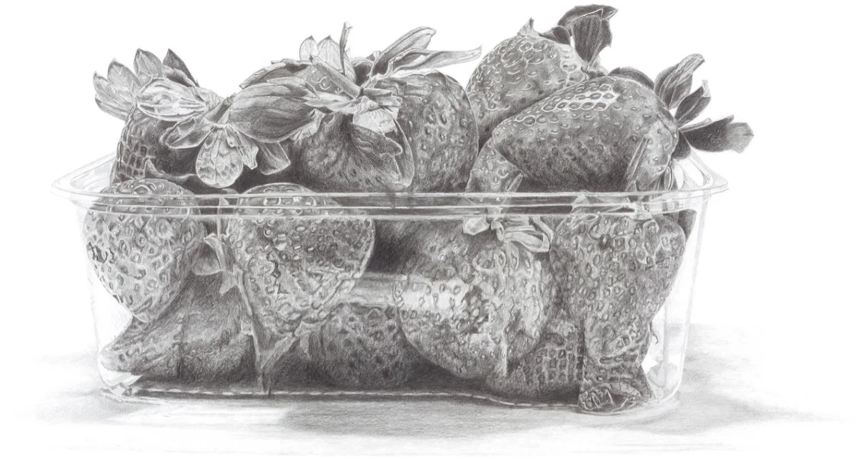 Pencil Drawing of Punnet of Strawberries