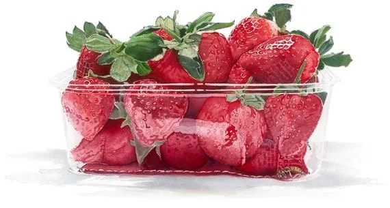 Punnet of Strawberries - watercolour and blotted line painting by Lucy Clayton