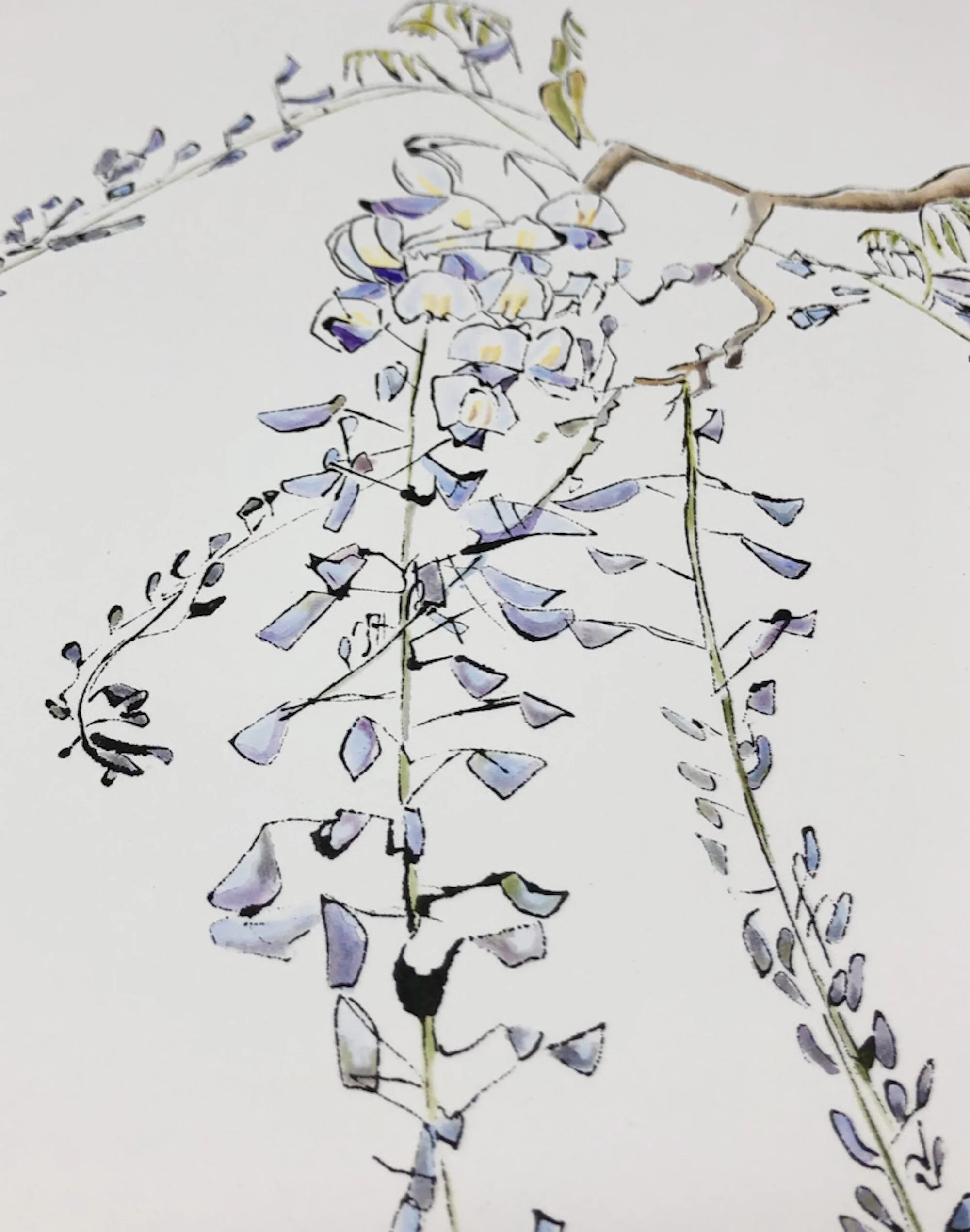 Exploring Blotted Line Drawing