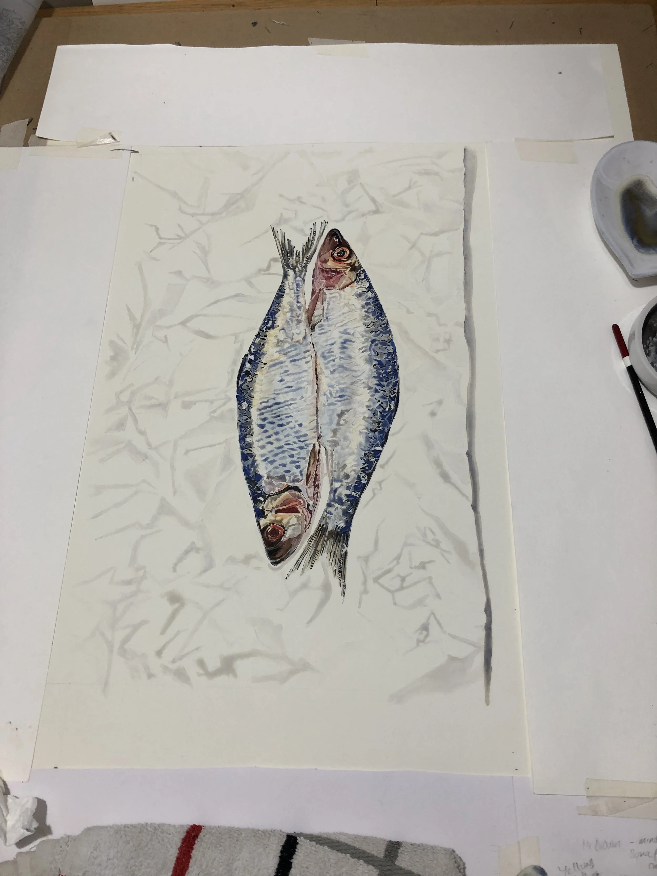 Silver Darlings - Herring