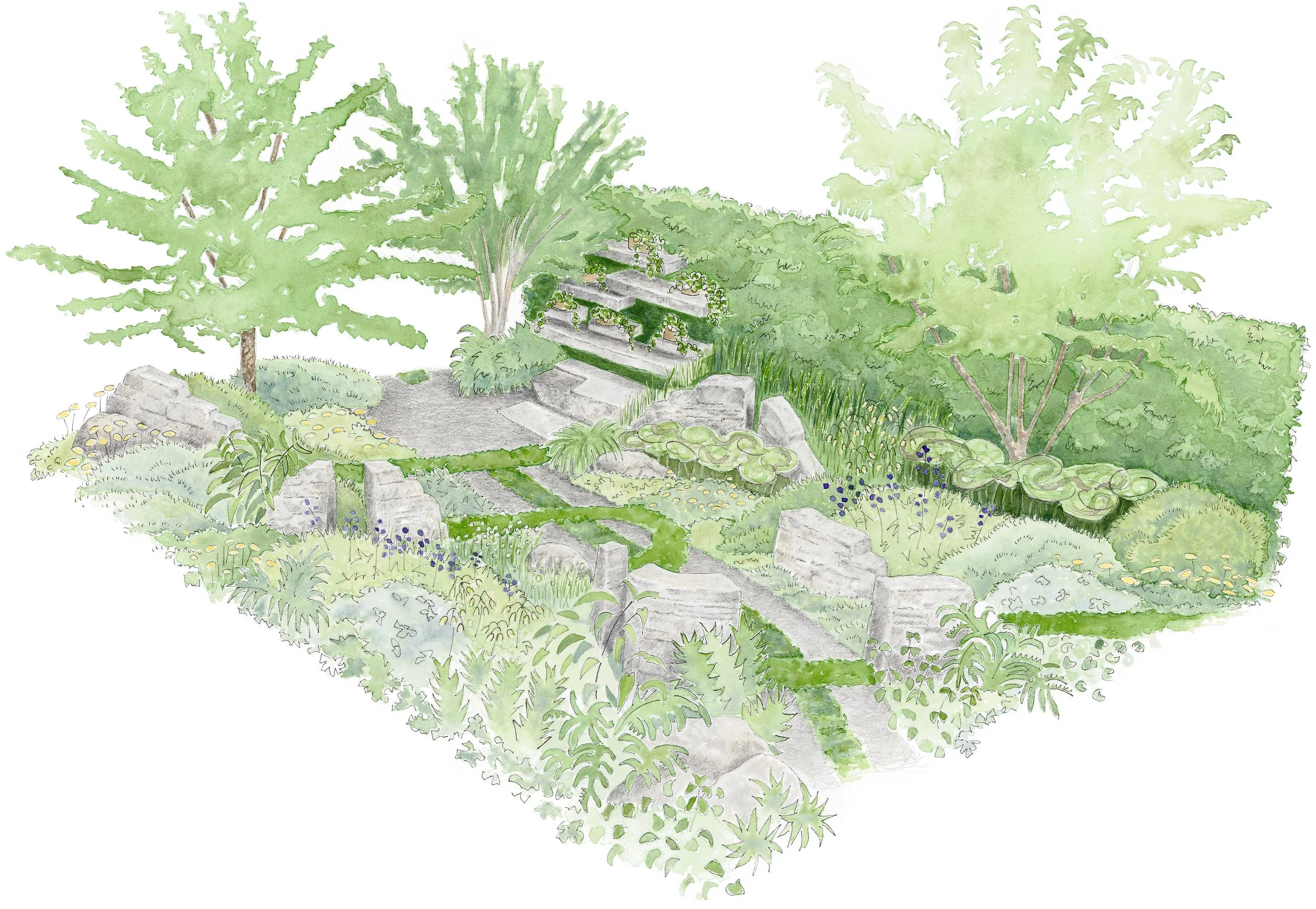 Visual for The Natural Affinity Garden for Aspens by Camellia Taylor to be shown at RHS Chelsea Flower Show 2023