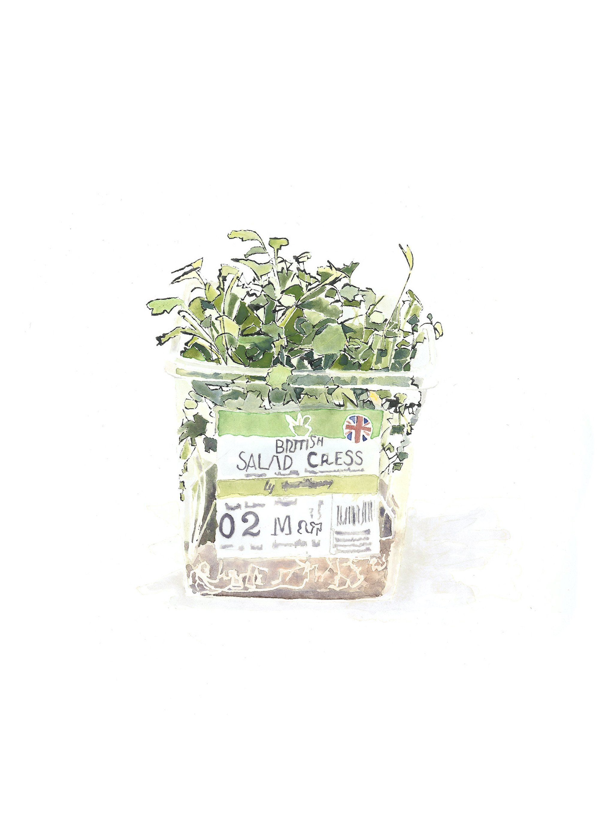 Cupboard-Love-Food-Illustration-Cress-Lucy-Clayton-Art-Etsy.jpg