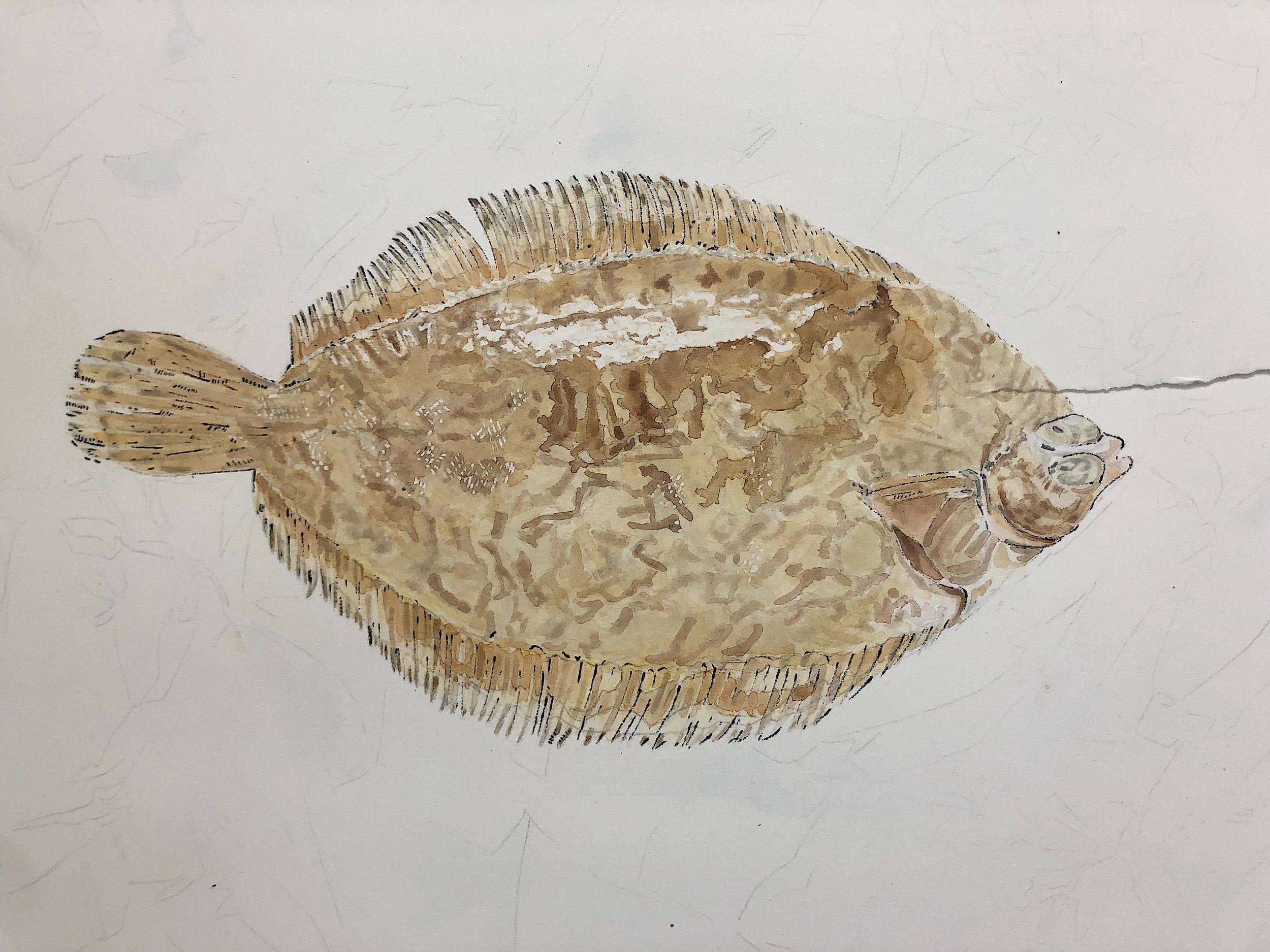 1-Lemon-Sole-Painting-Gone-Wrong-Lucy-Clayton-Art-Journal-Blog.jpeg