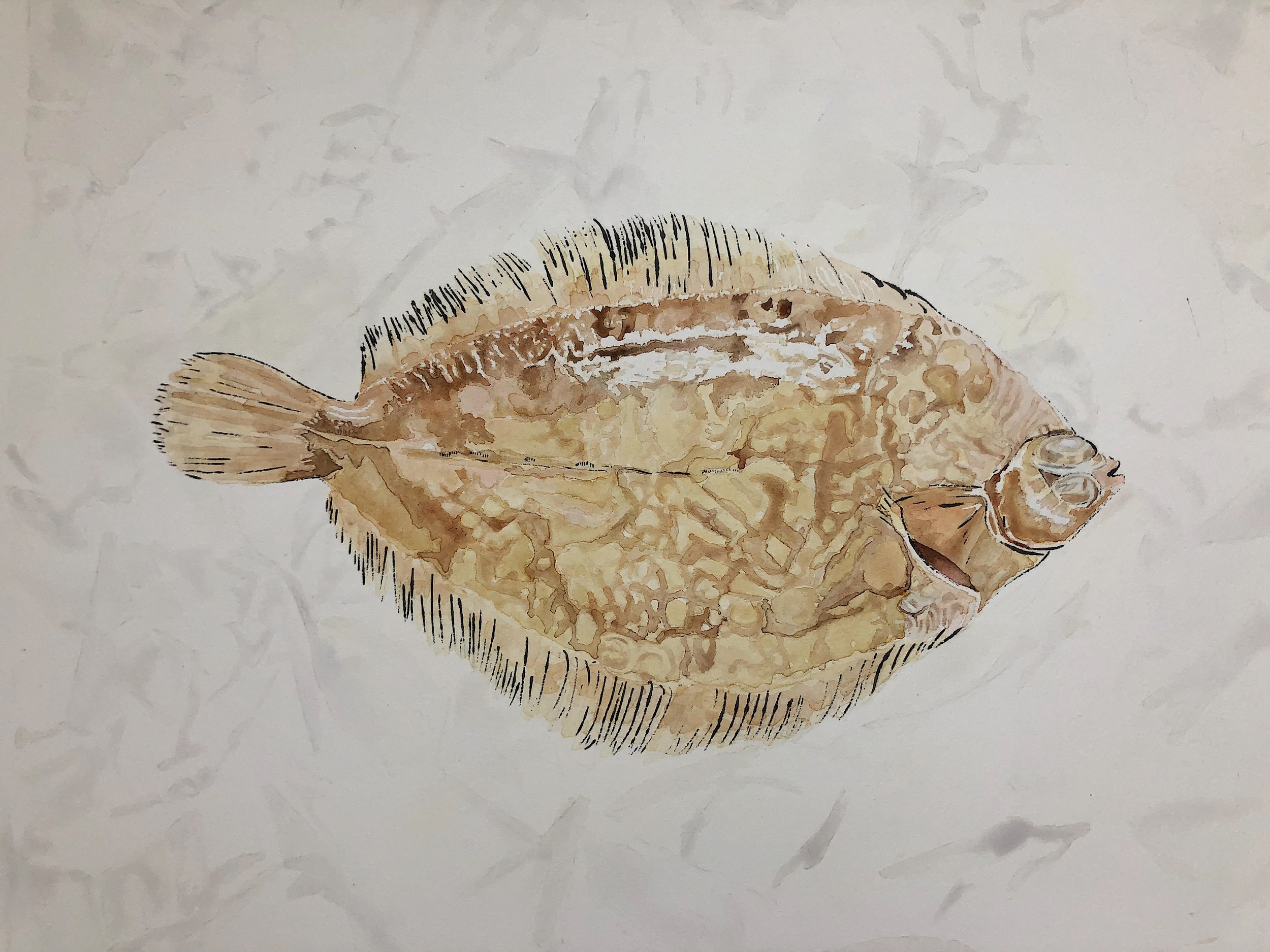 3-Lemon-Sole-Painting-Gone-Wrong-Lucy-Clayton-Art-Journal-Blog.jpeg