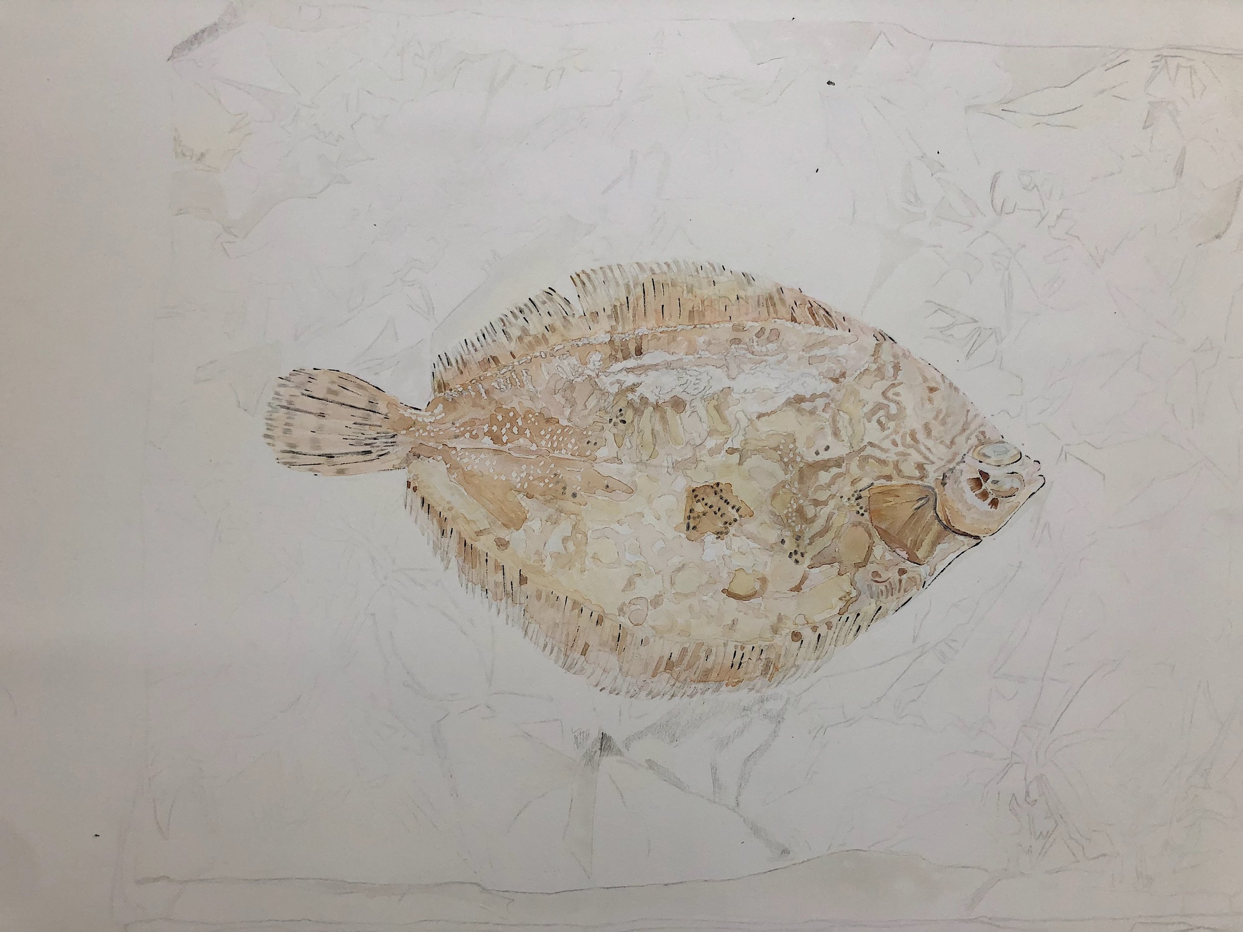 4-Lemon-Sole-Painting-Gone-Wrong-Lucy-Clayton-Art-Journal-Blog.jpeg