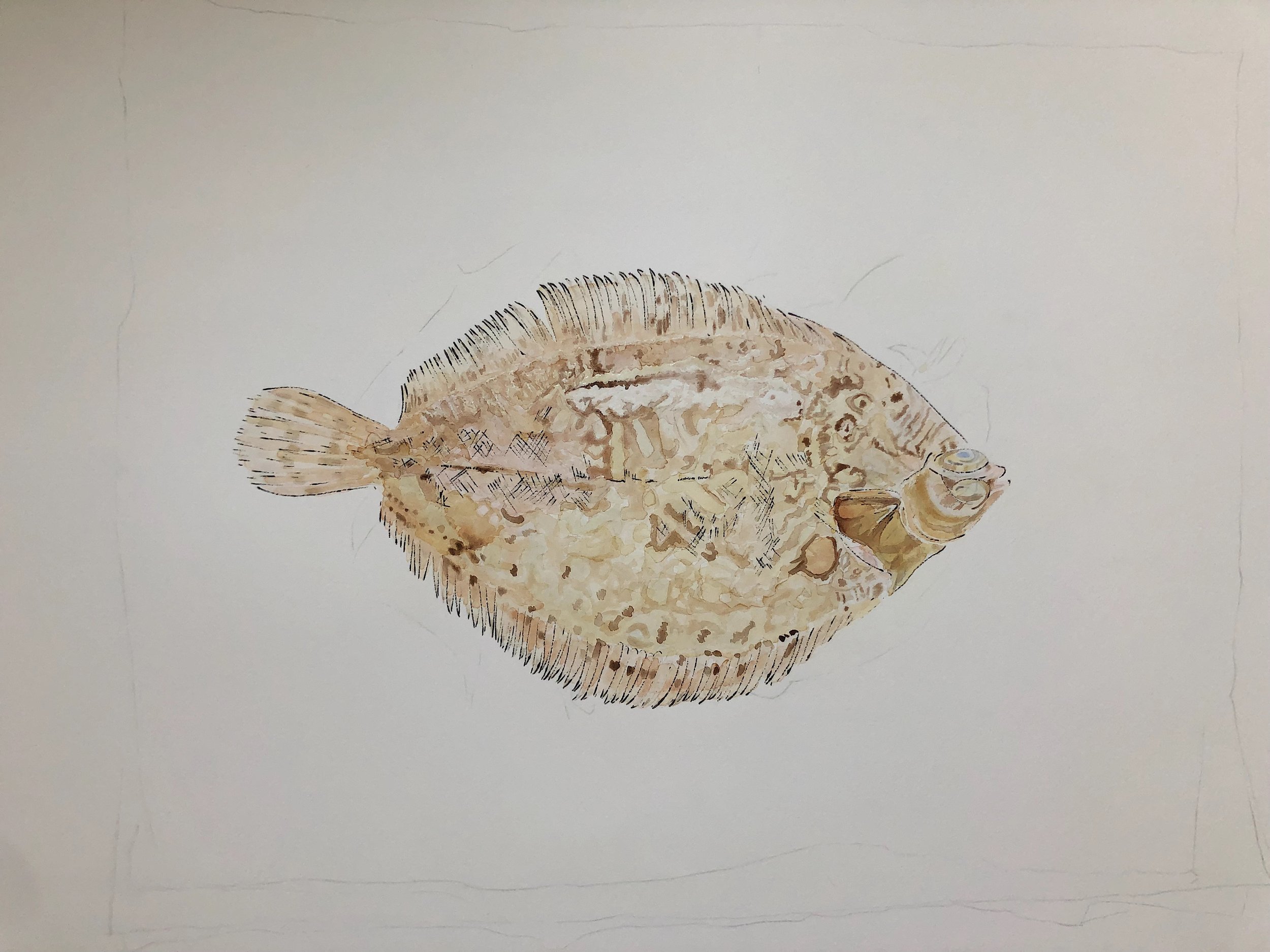 6-Lemon-Sole-Painting-Gone-Wrong-Lucy-Clayton-Art-Journal-Blog.jpeg