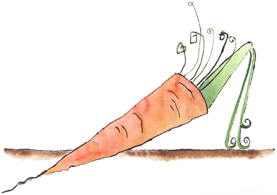 Carrot Shoe Blotted Line and Wa