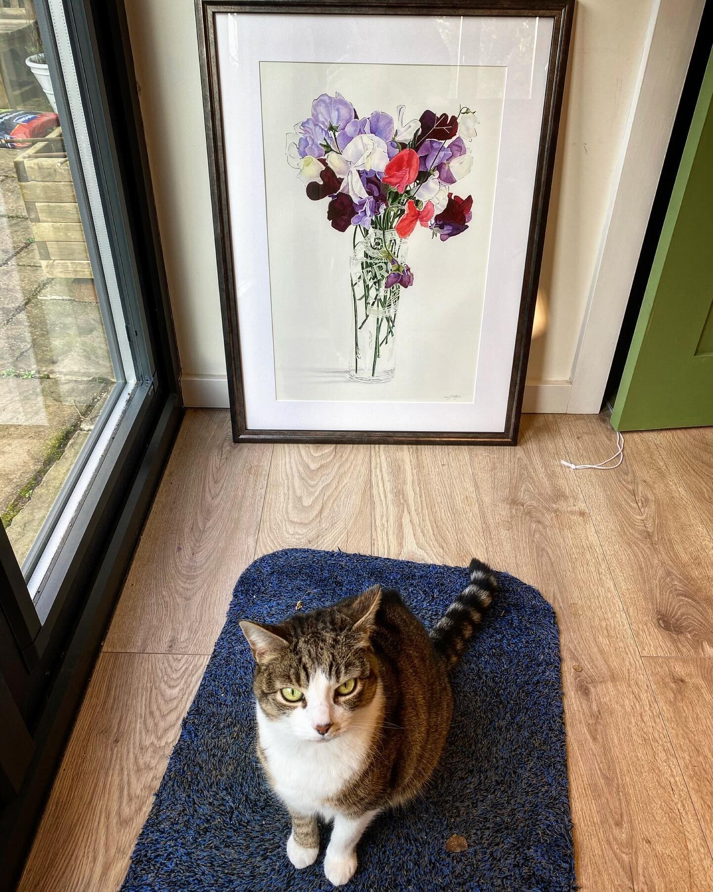 Sweet Peas and Lemon Sole are off on Saturday to take part in the @drawingsocietyuk 103rd Annual Open Exhibition @mallgalleries .

The exhibition features a huge variety of artwork that celebrates the many ways of drawing by hand including pencil, ch