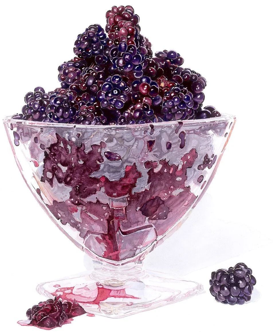 Wild Blackberries