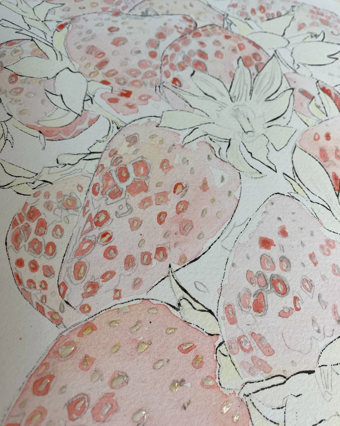 Been doing some DIY painting recently so good to get back to the watercolours.
Feeling my way with the first few layers and have added some spots of Scarlet Lake. Out of all the reds I use this is the one that reminds me the most of the smell and tas