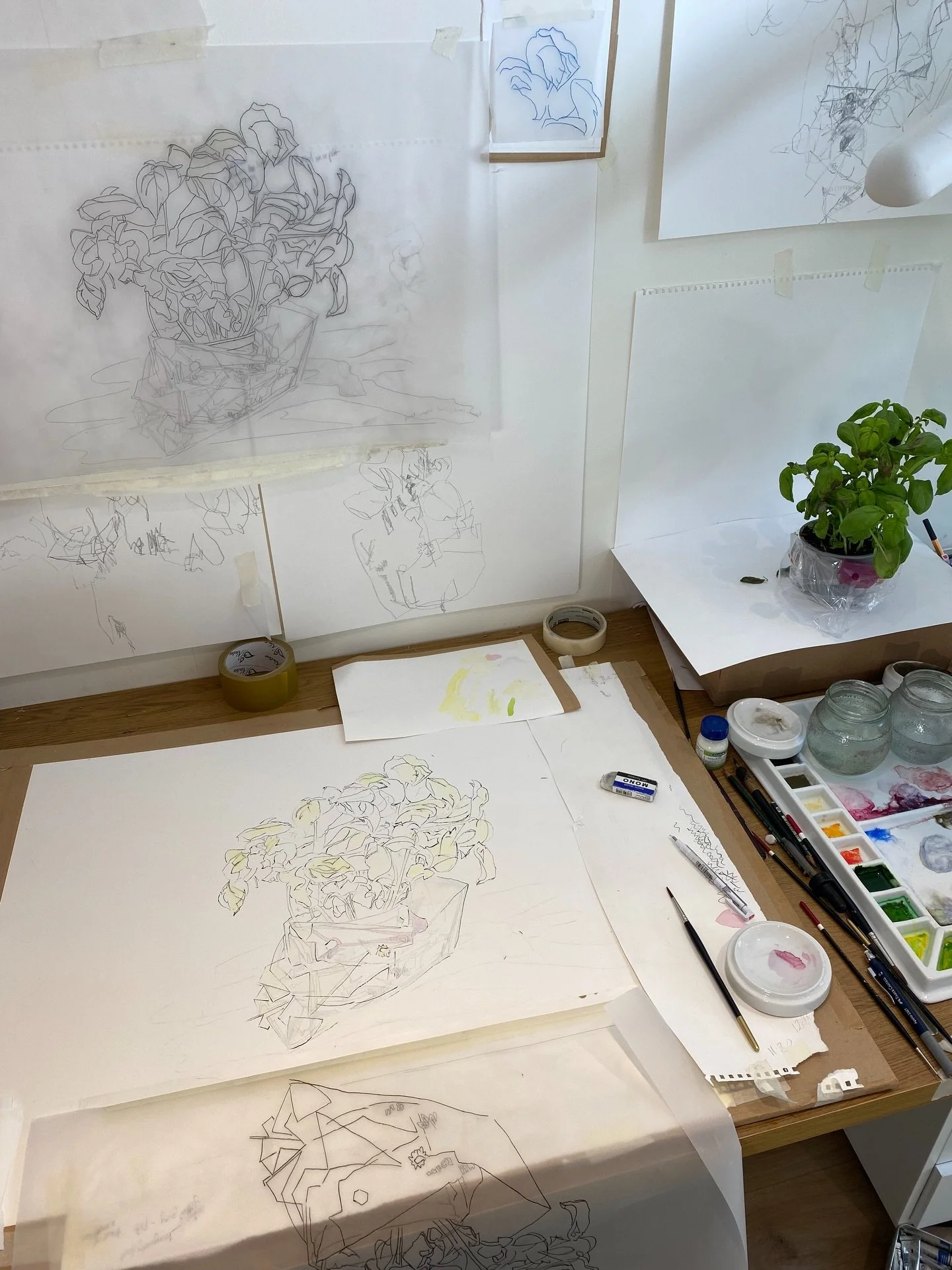 A few photos showing my watercolour painting of Basil in progress.
I&rsquo;m very drawn to the contrast between the plants and the plastic wrapping in supermarket herbs and the intense greens seem almost artificial.
This one began with a continuous l