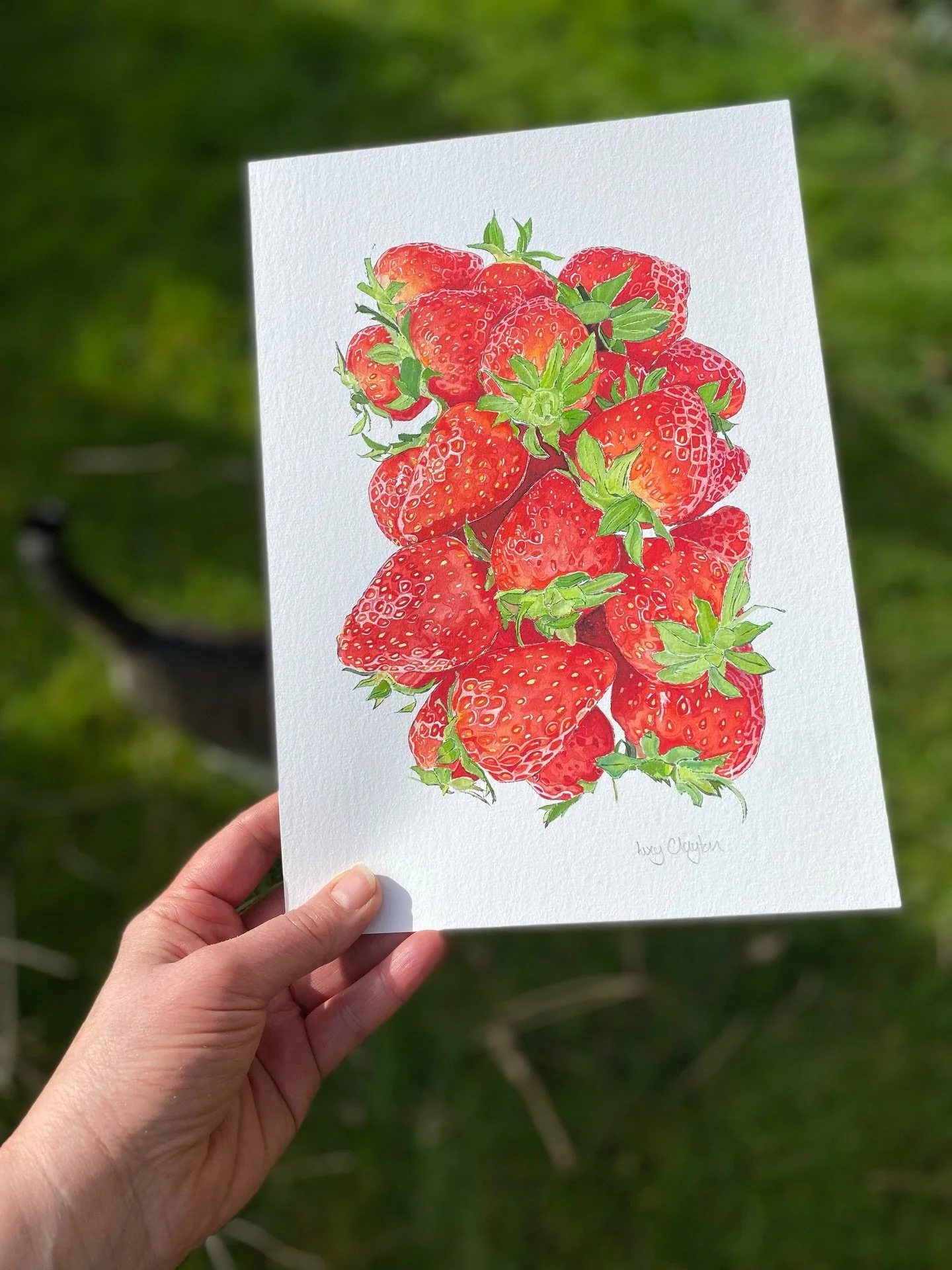 Brand new to my @etsyuk shop are signed giclee prints of my latest watercolour and blotted line painting, Strawbs.
Inspired by the luscious strawberries, piled high at London&rsquo;s Borough Market. I wanted to capture the fresh bright reds and disti