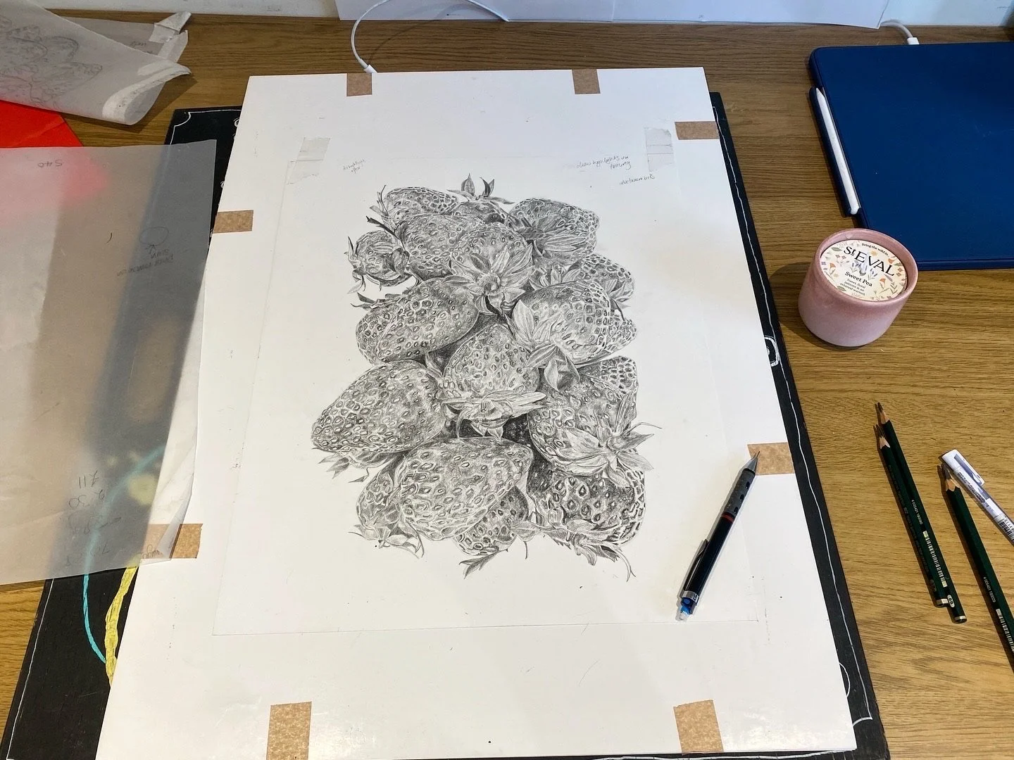 Strawberries-Pencil-Drawing-for-Strawbs-Lucy-Clayton-Art.JPG
