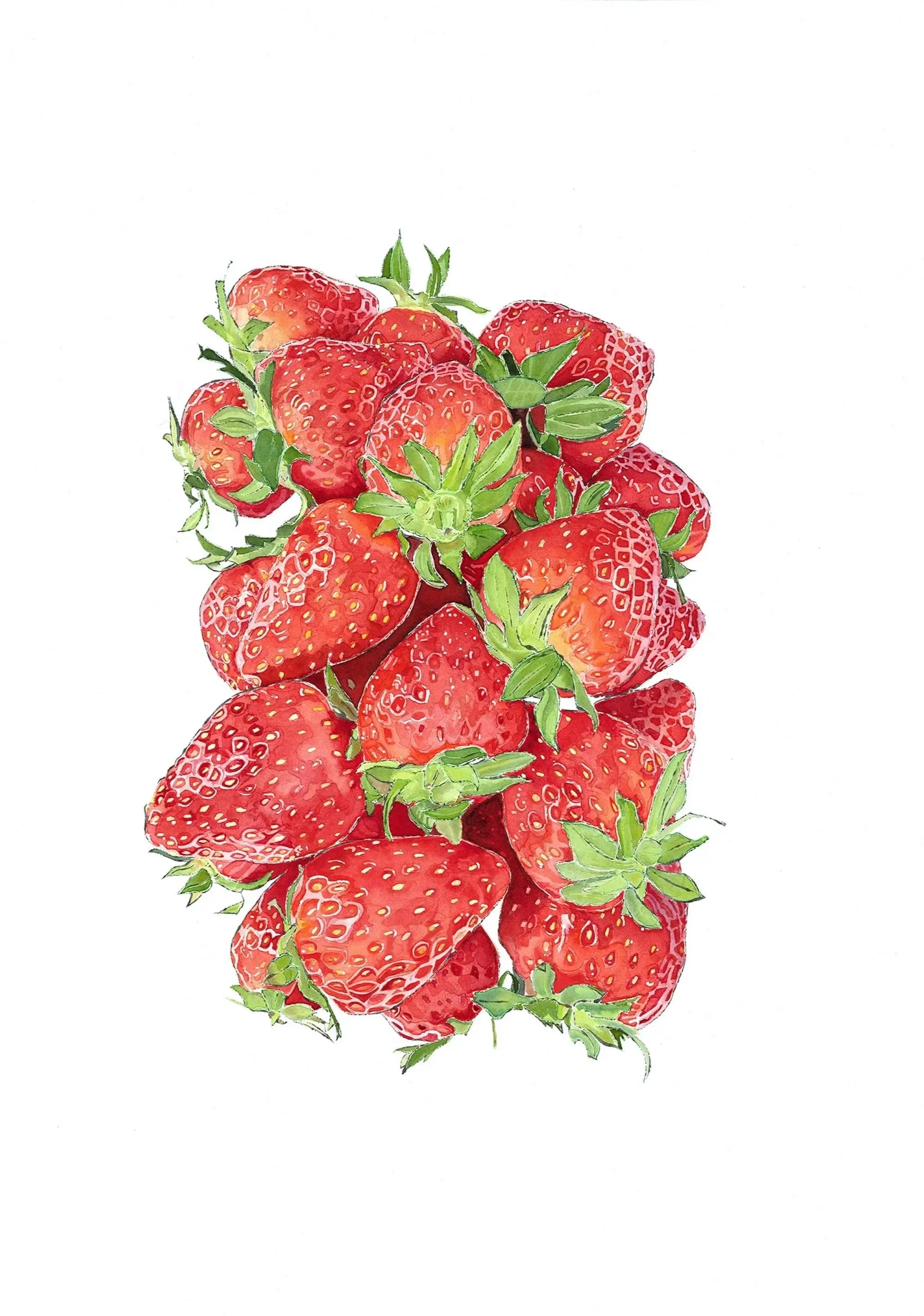 Strawbs 
