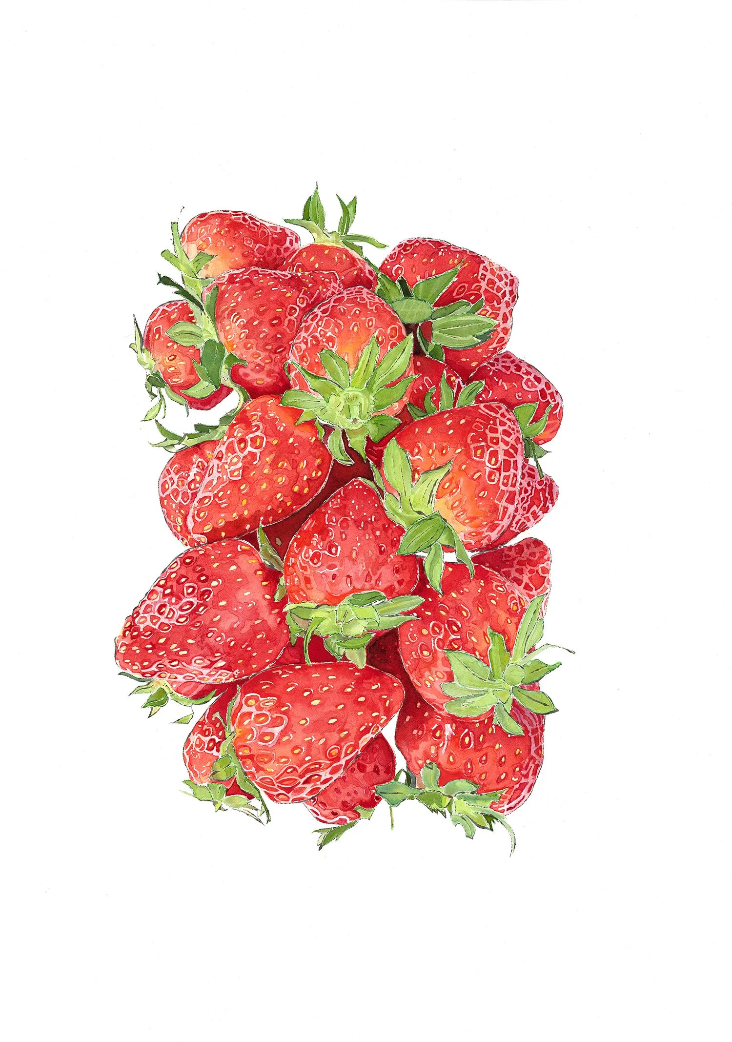 Strawberry-watercolour-+-Ink-Strawbs-Lucy-Clayton-SGFA-Urban-Art-Fair-Brixton-2026.jpg