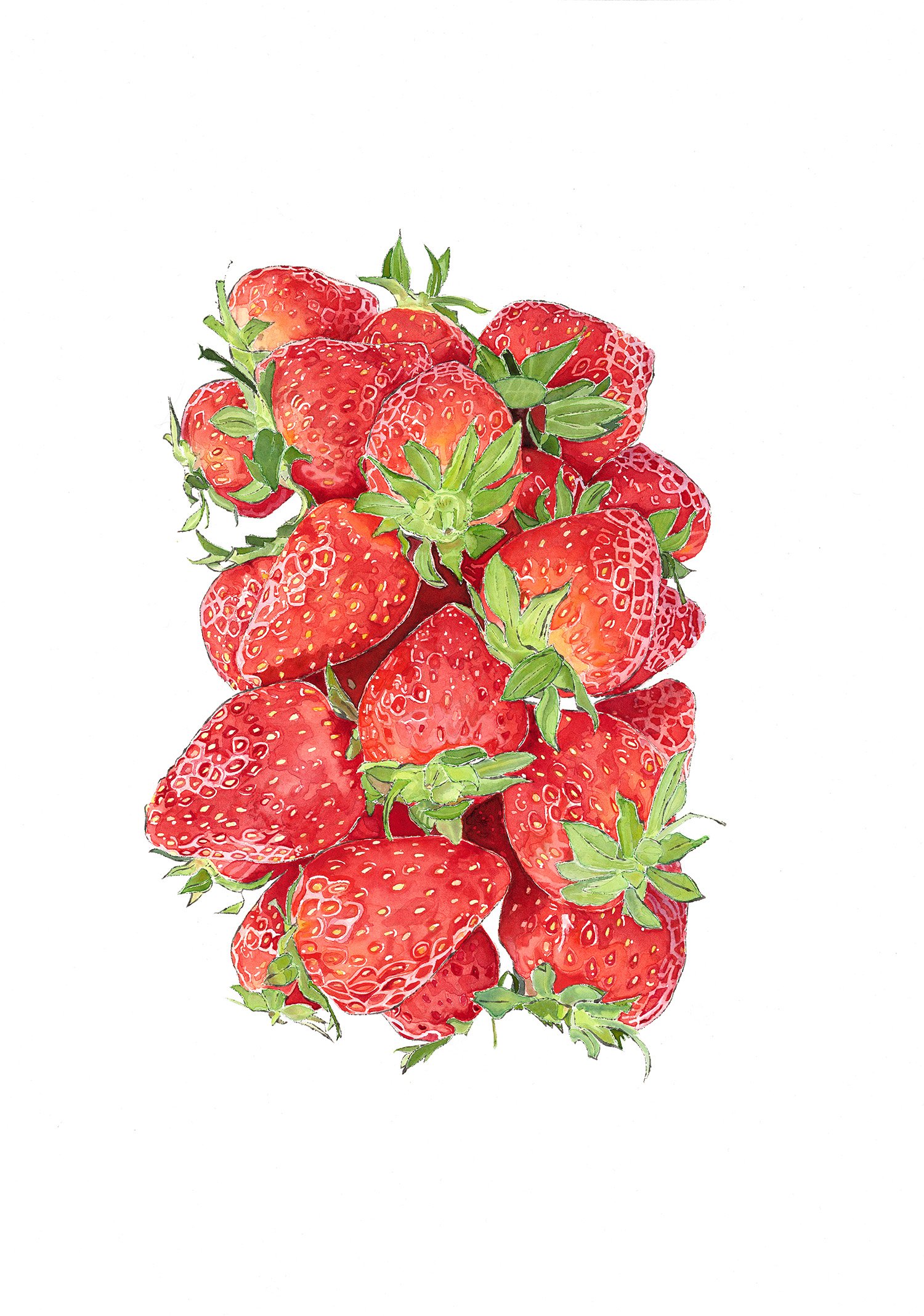 The-Kent-County-Show-Art-Quarter-Lucy-Clayton-SGFA-Strawbs-Watercolour-+-Ink-Painting.jpg