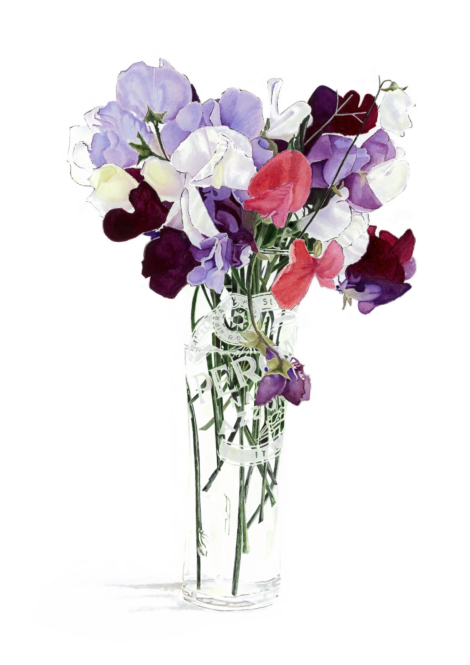 Sweet-Peas-Watercolour-+-Ink-Lucy-Clayton-The-Kent-County-Show-Art-Quarter.jpg