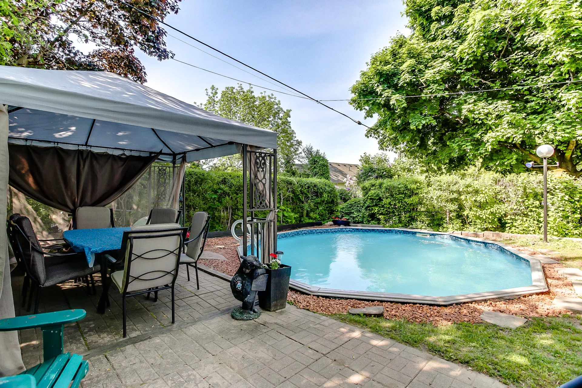 38_backyard_6.jpg