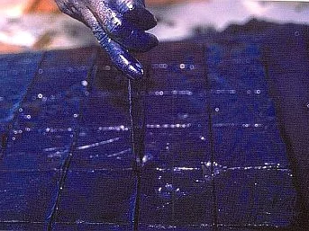 Indigo [PASTE].jpg