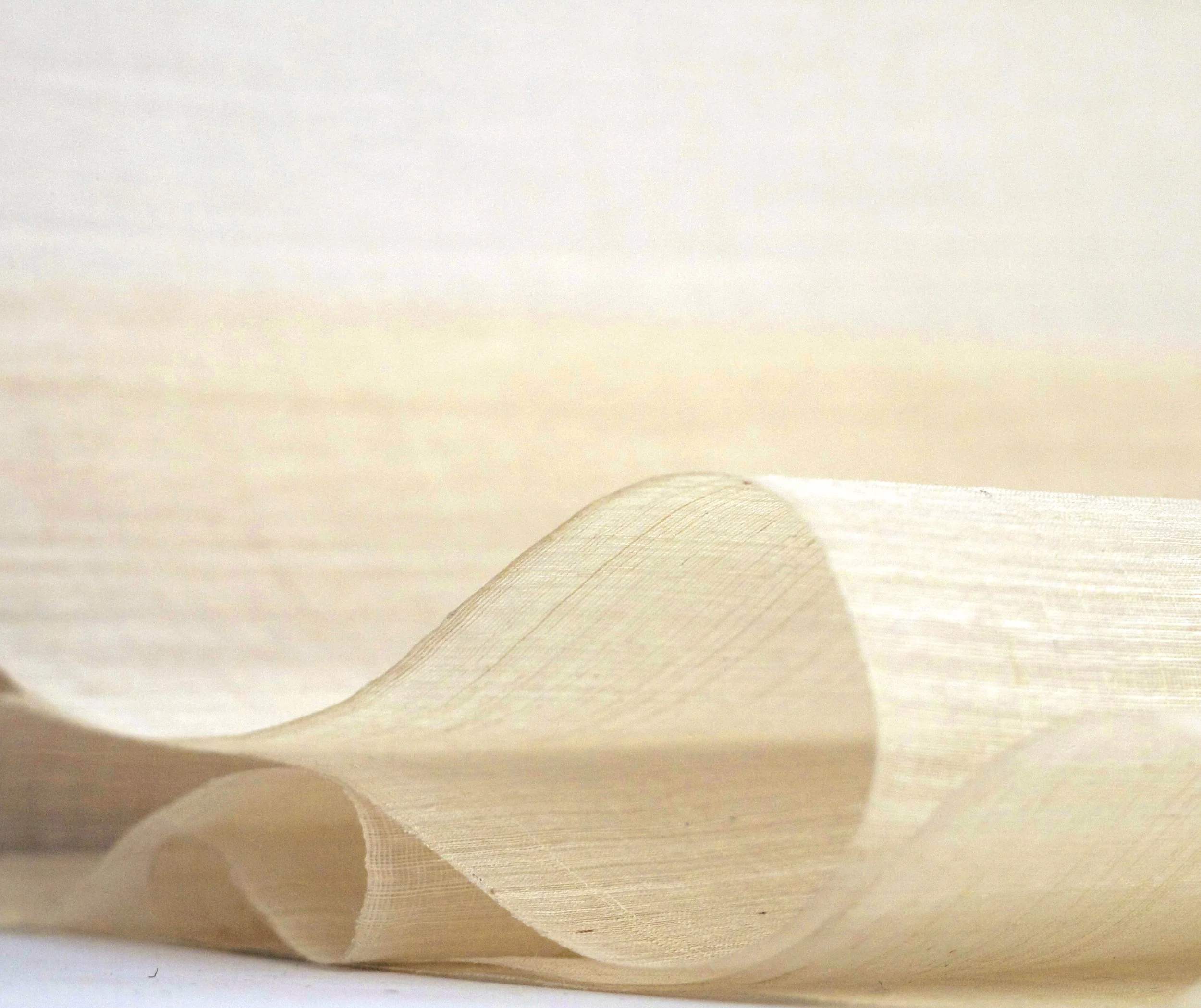 PINEAPPLE FIBER FABRIC