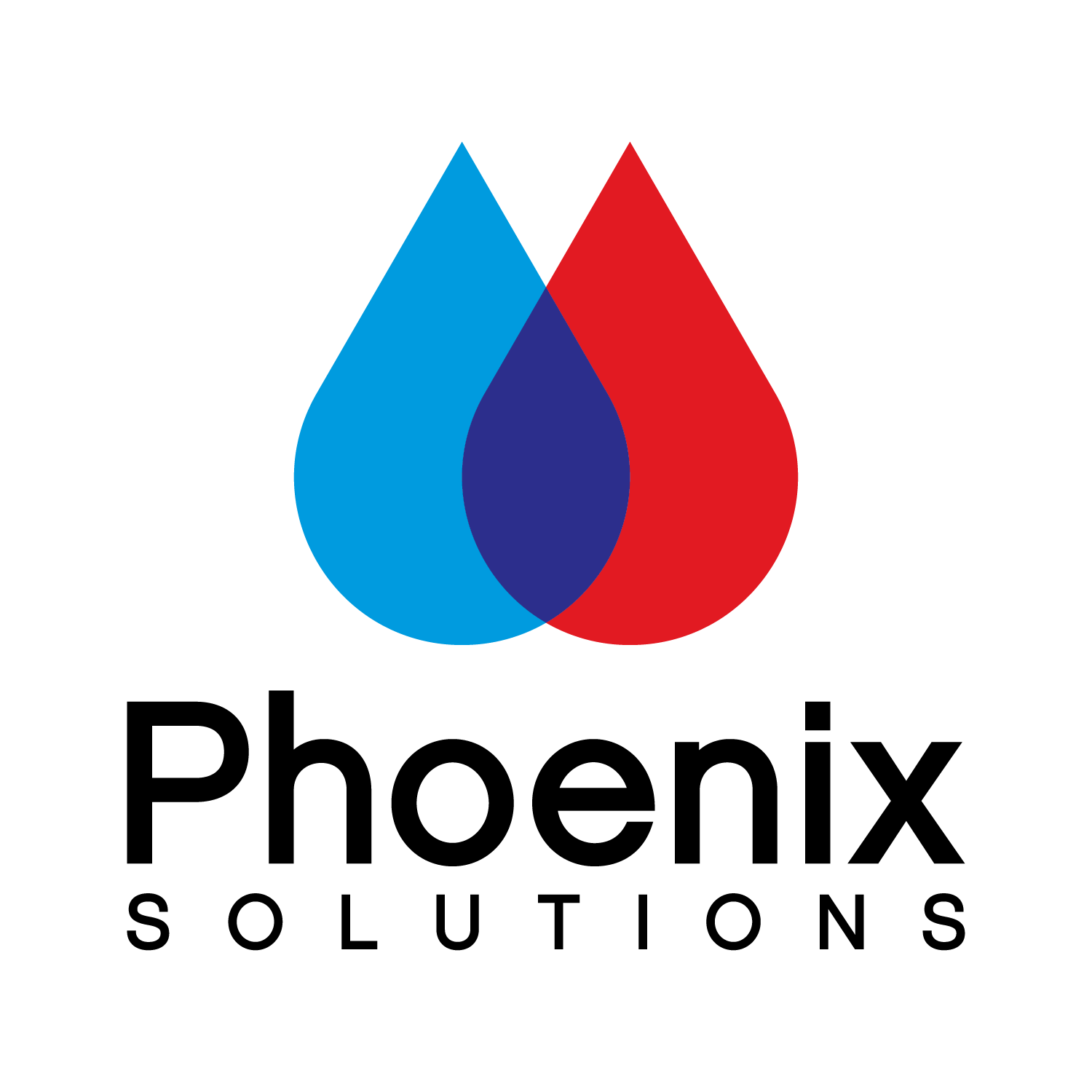 Phoenix Solutions