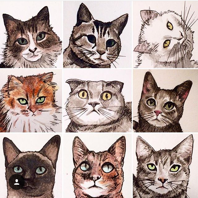 Cat Collage