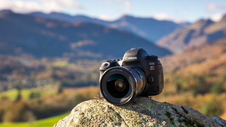The same but different: Canon EOS 6D Mark II shooting experience: Digital  Photography Review