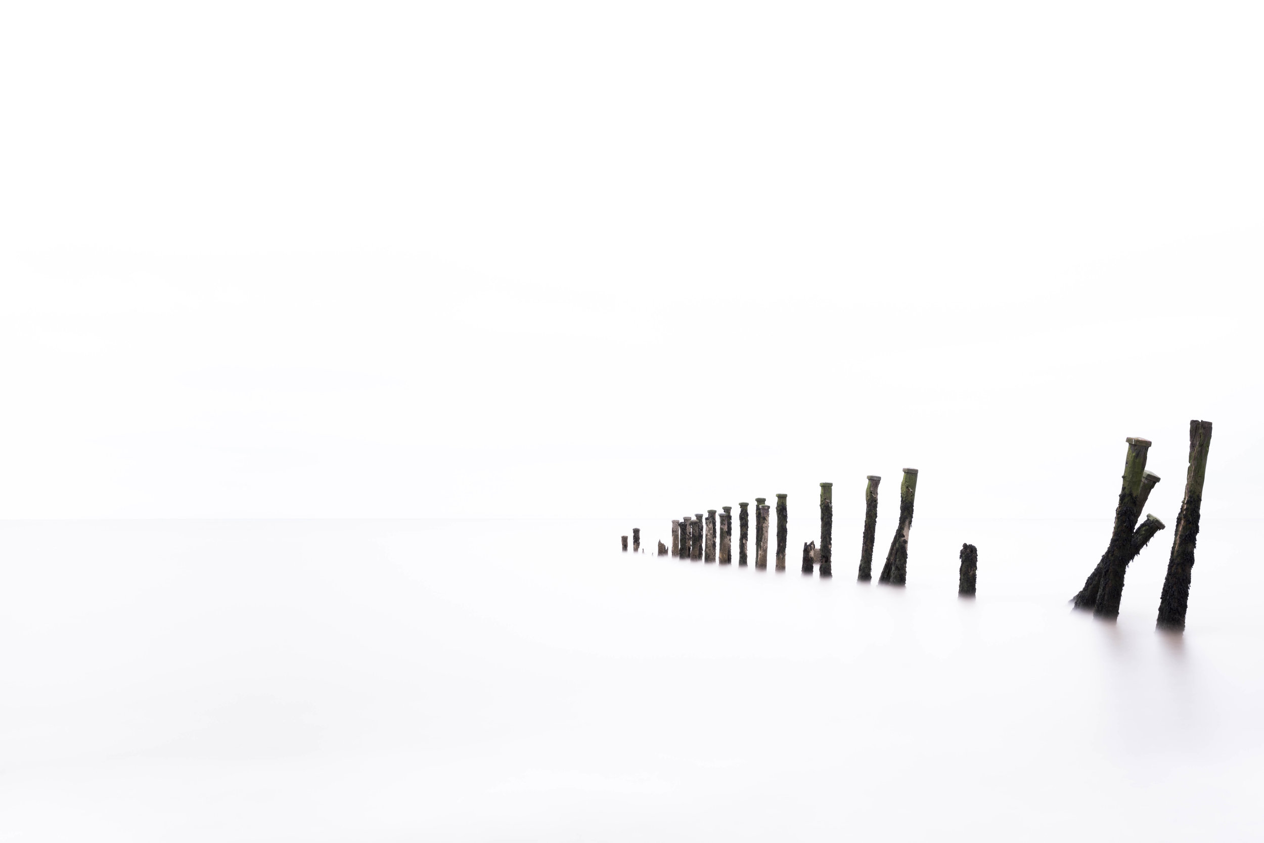 Landscape Portfolio-7.jpg