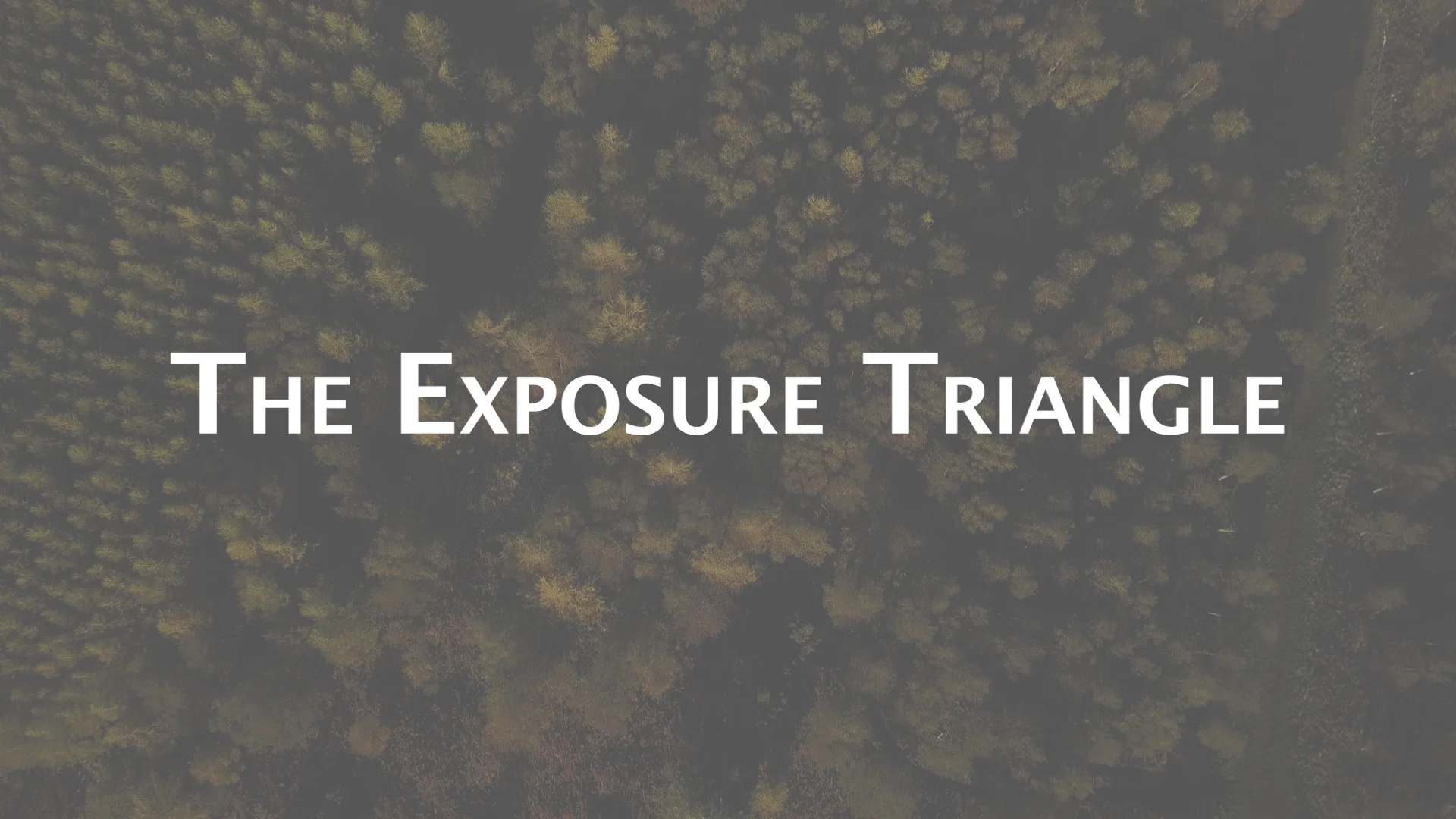 The Exposure Triangle.jpg
