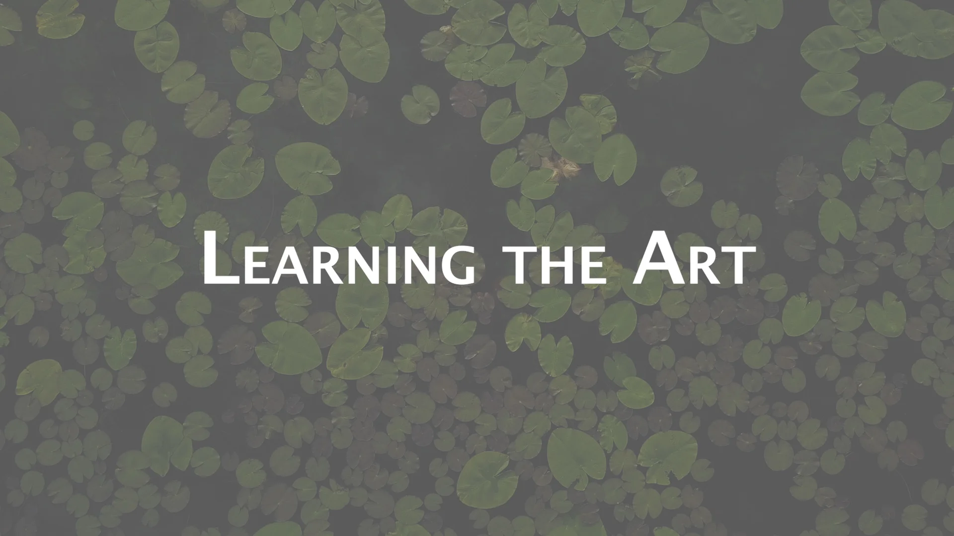 Learning the Art.jpg