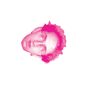 chuckhead_pinkonwhite-upsidedown copy.png