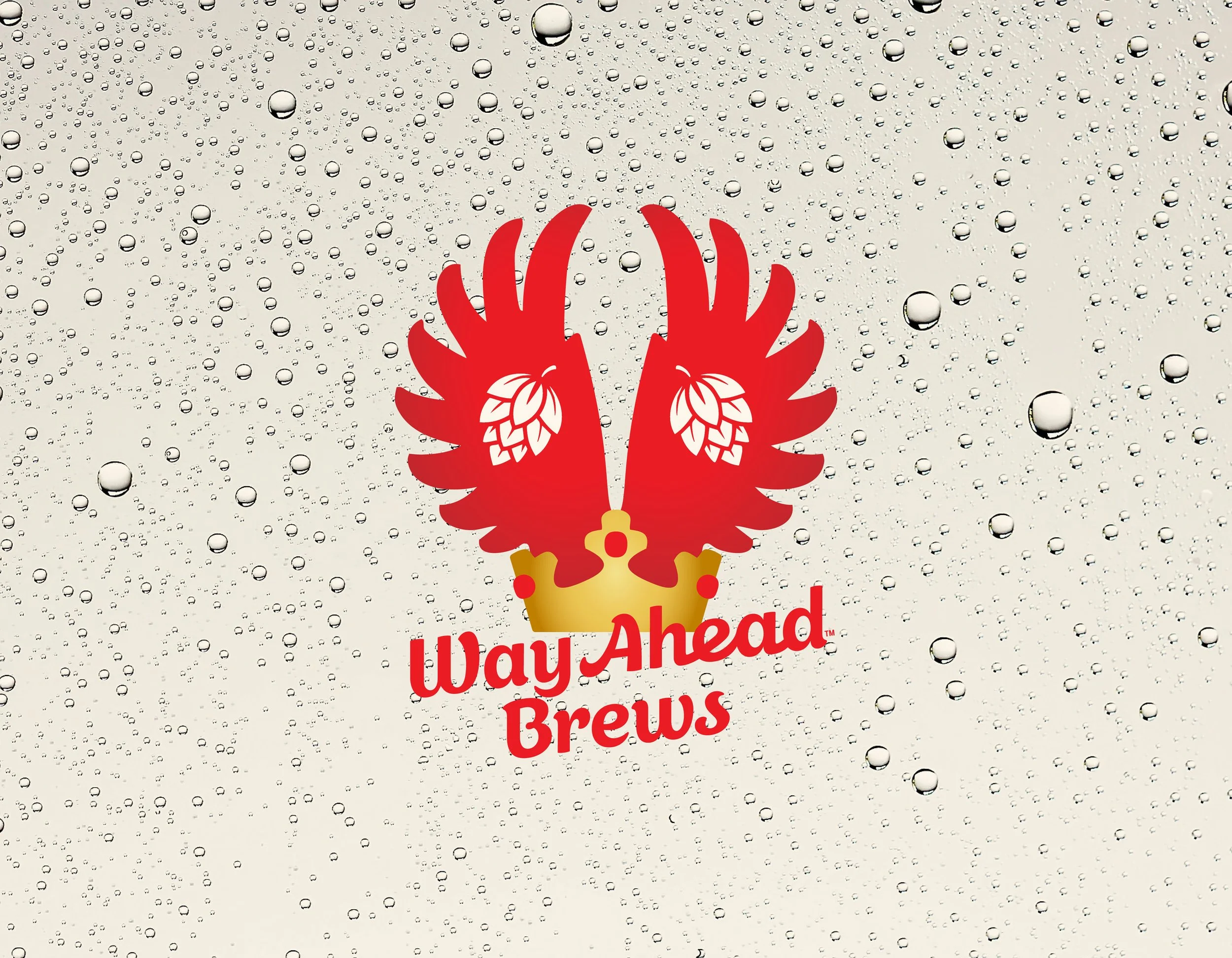 Chuckhead-WayAhead-CaseStudy-260725-v001ccr-01.jpg
