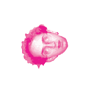 chuckhead_pinkonwhite-upsidedown copy 3.png