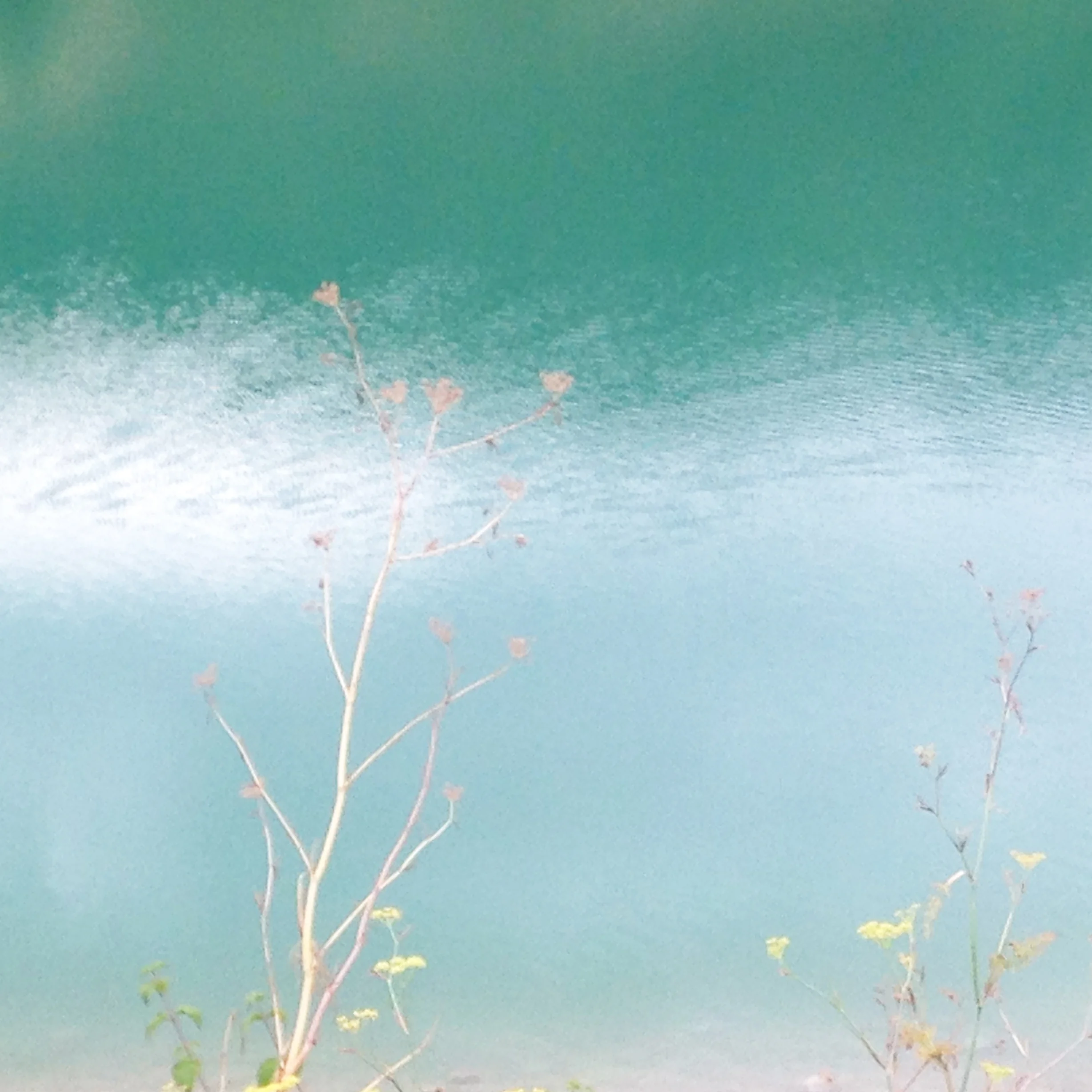 Lake water.jpg