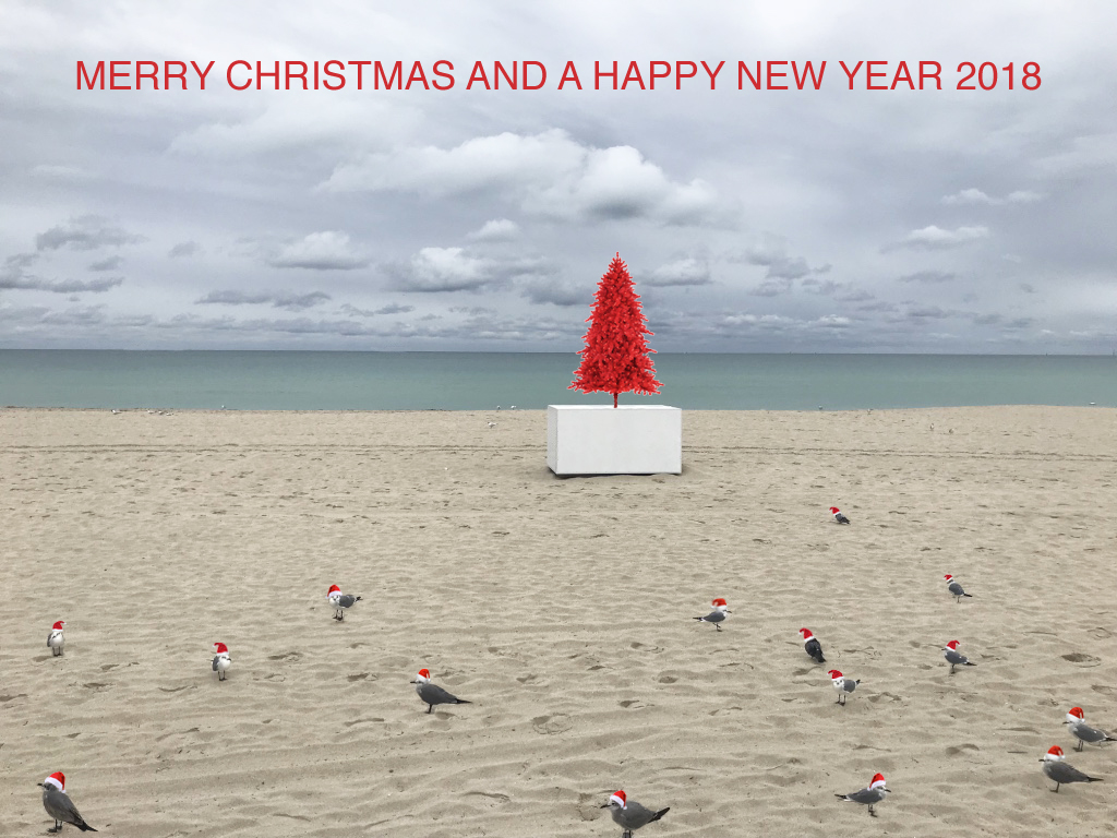 Xmas card-b 2017 copy.jpg