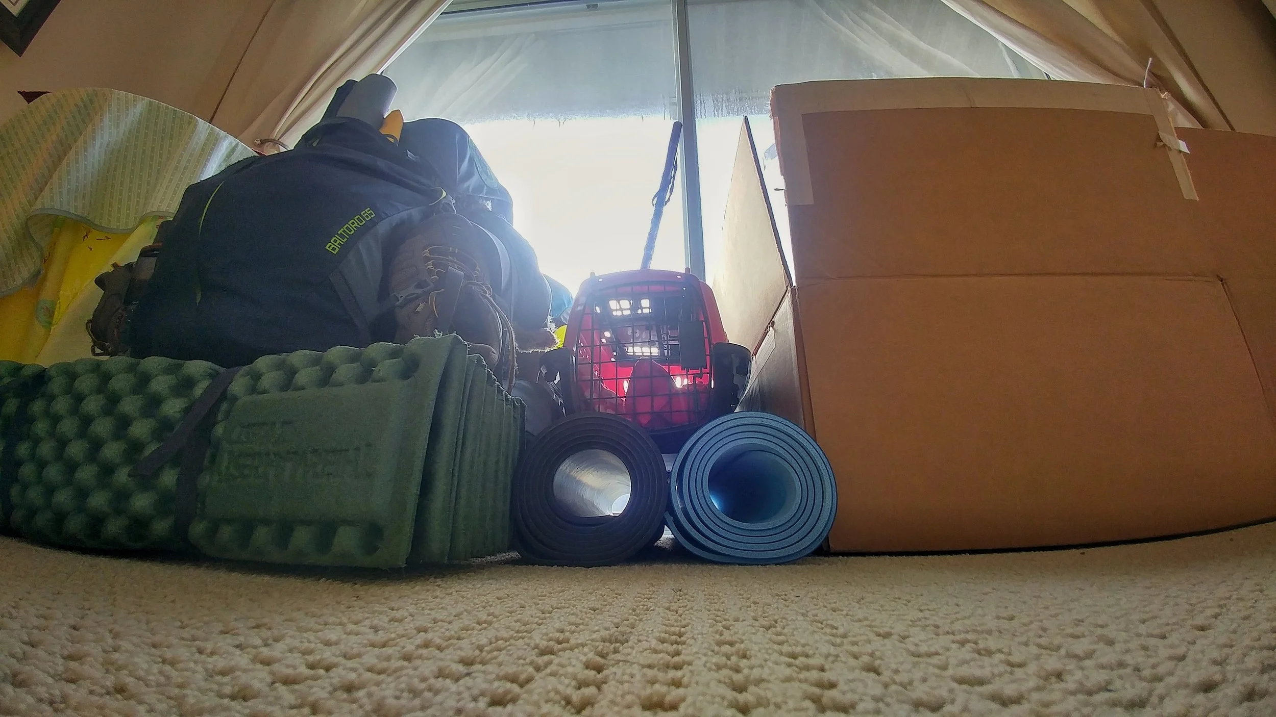 The Moving Pains With A Tiny Home