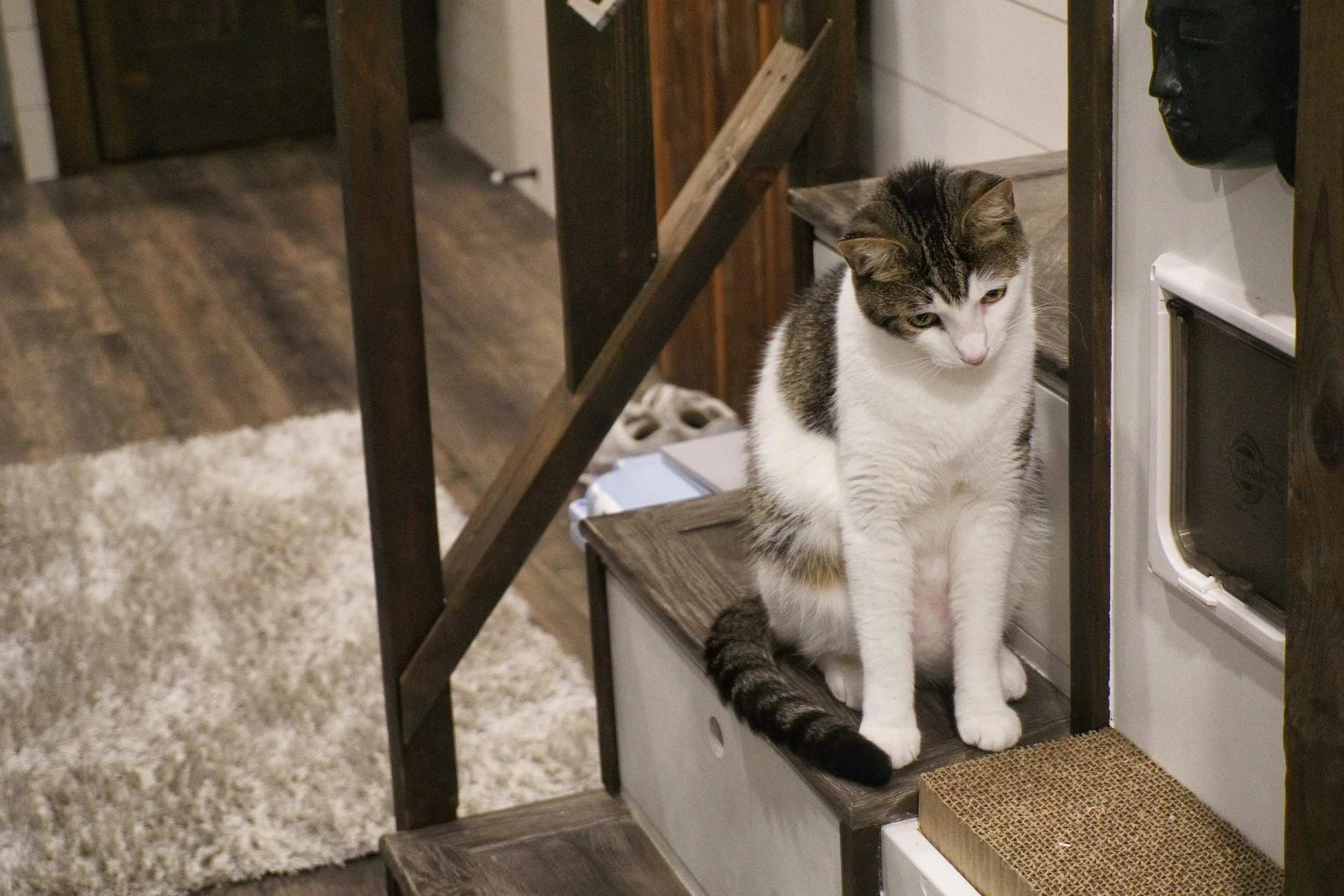 First Week Living in a Tiny Home