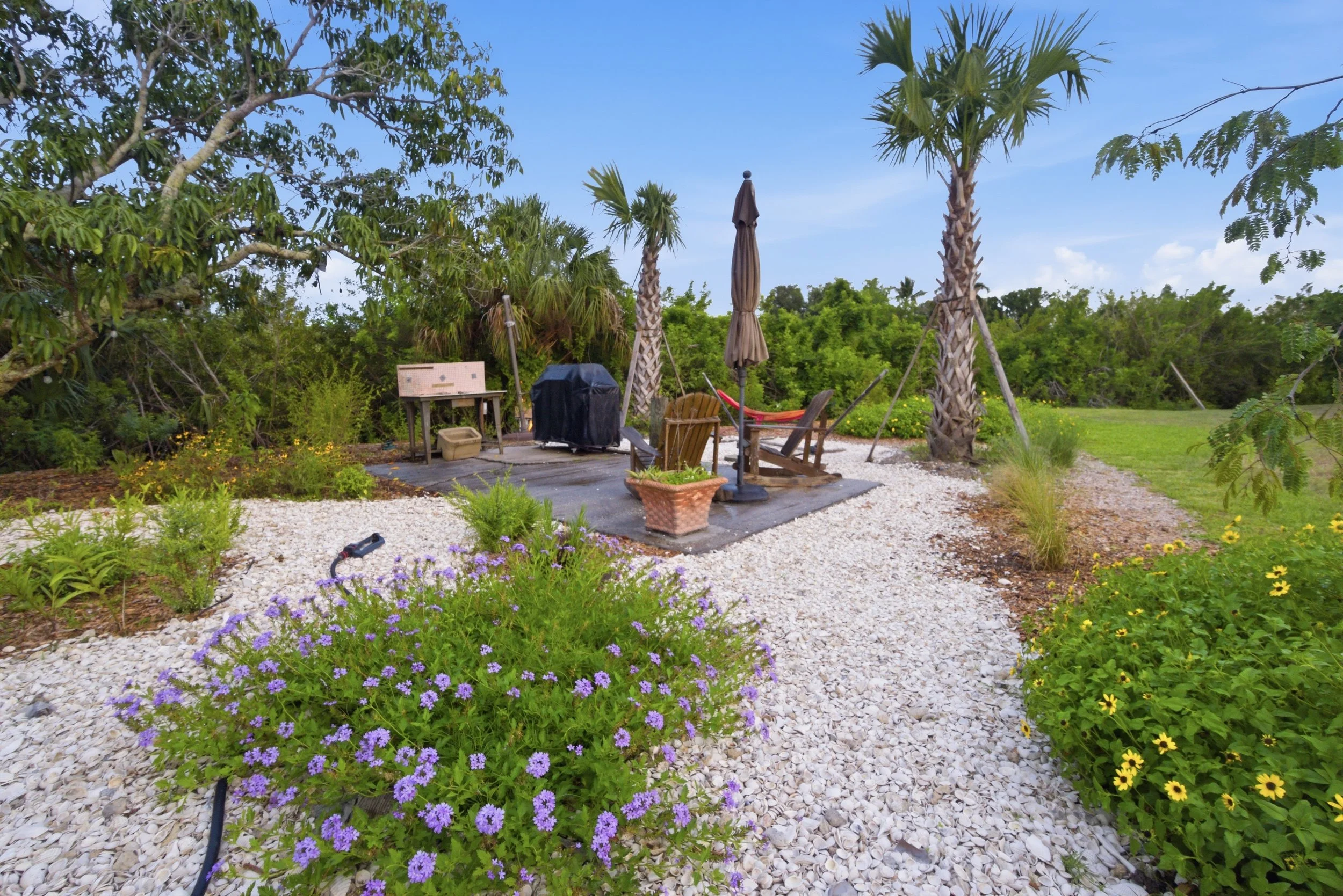 Island Butterfly Garden-128.jpg