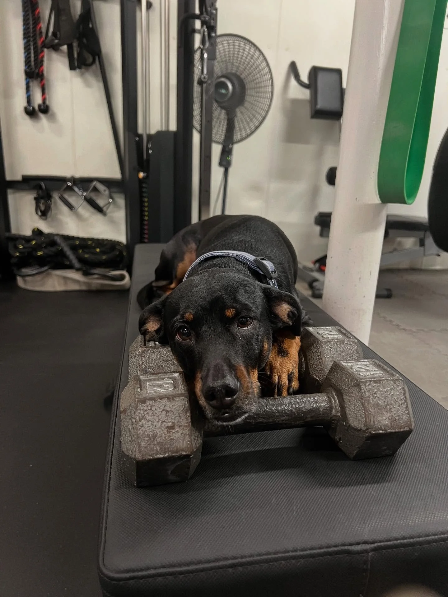 &ldquo;If you are not changing, you are choosing it.&rdquo; -Laura Buchanan