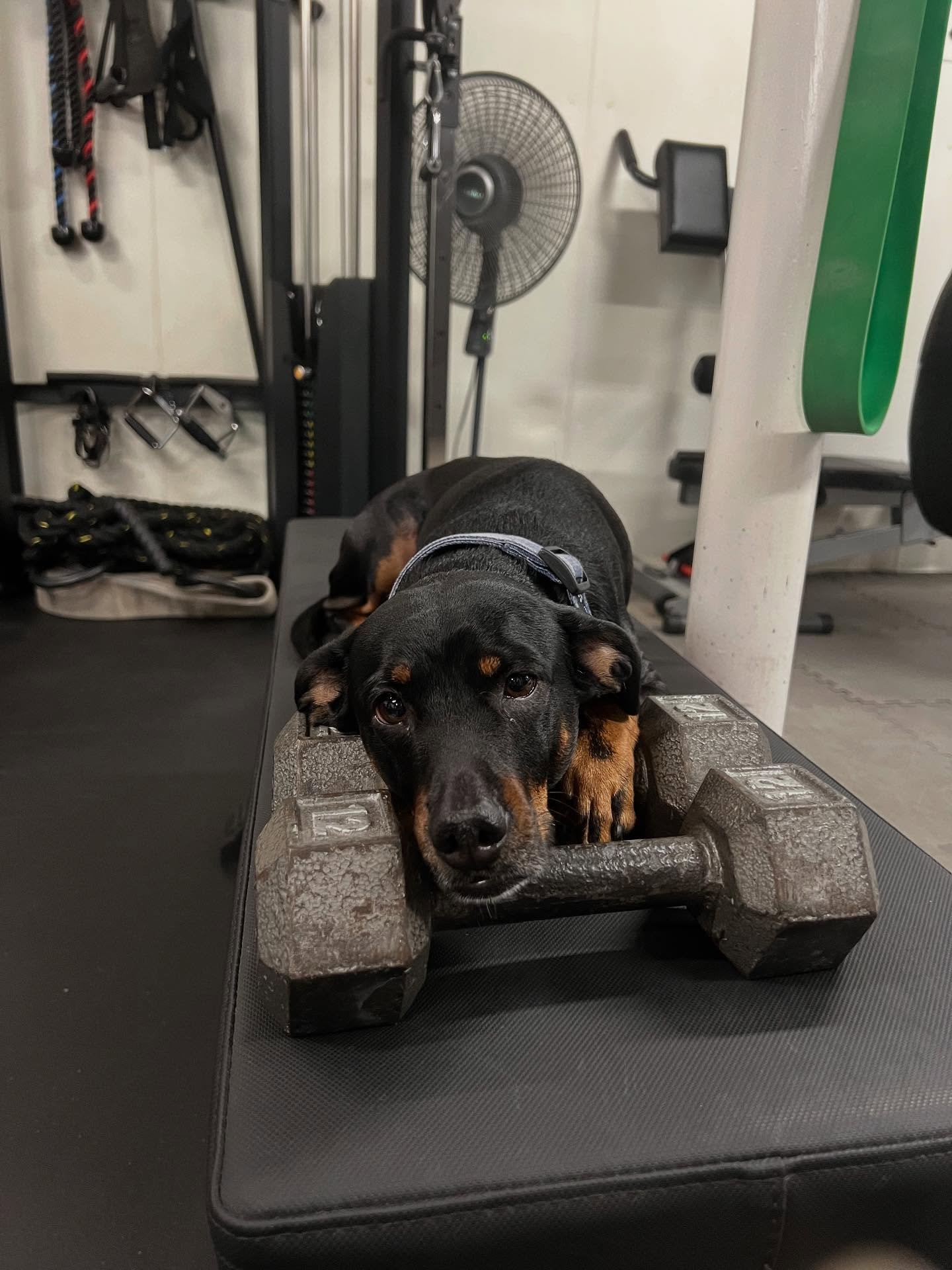 &ldquo;If you are not changing, you are choosing it.&rdquo; -Laura Buchanan