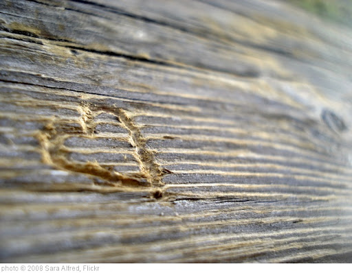 heart2.jpg