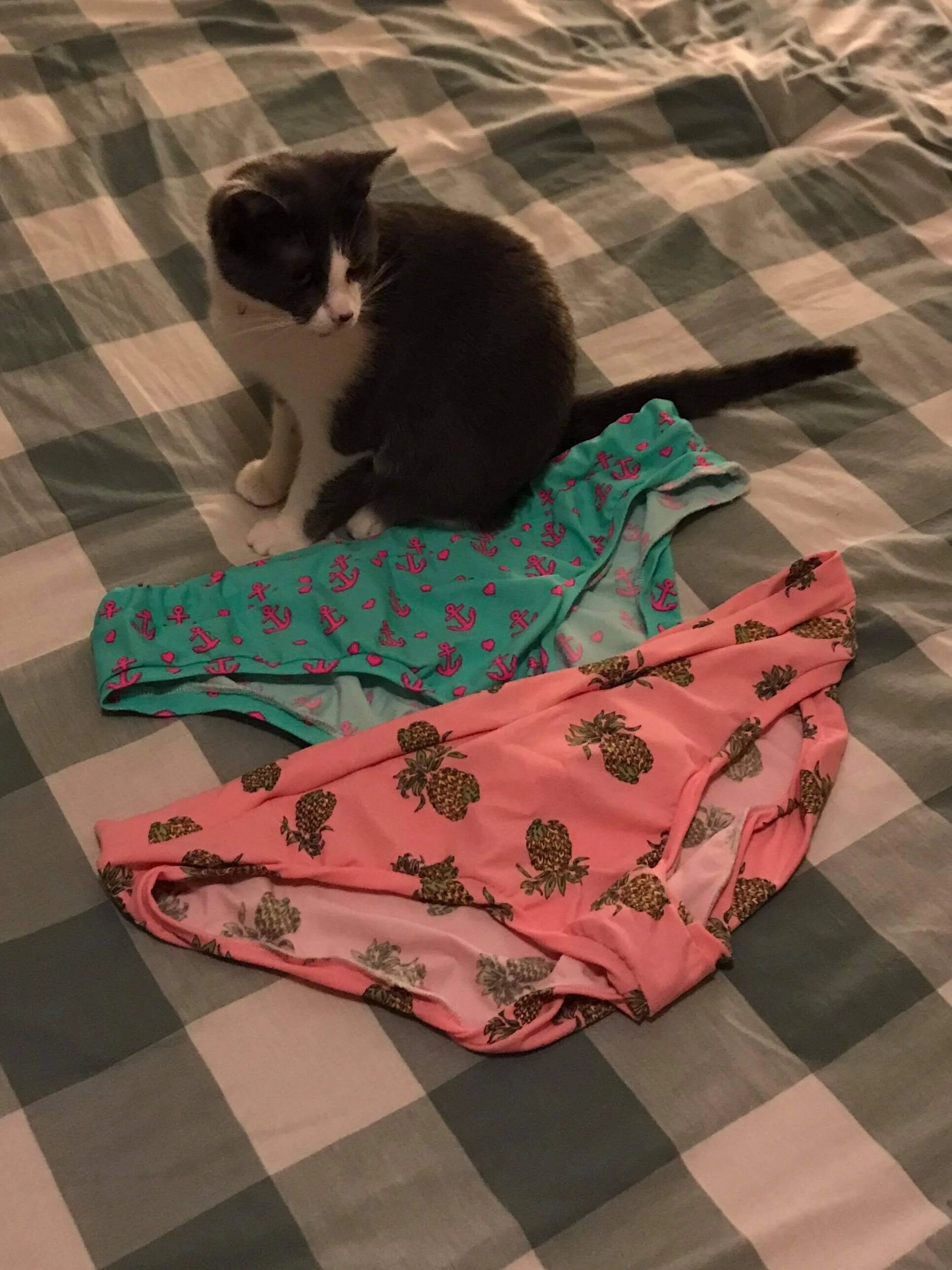  Cat included as an endorsement, not model. 