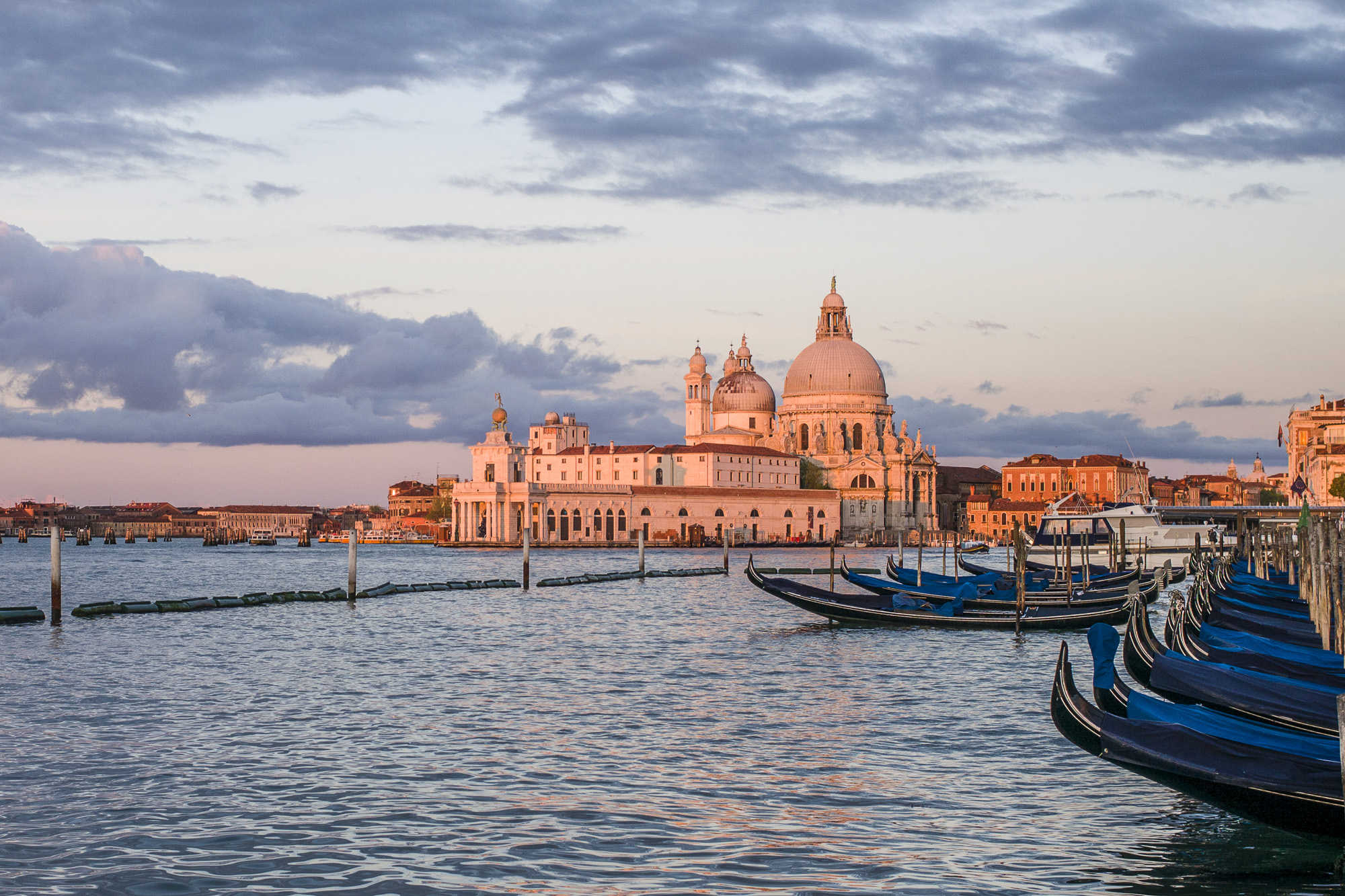 Santa Maria del Salute 