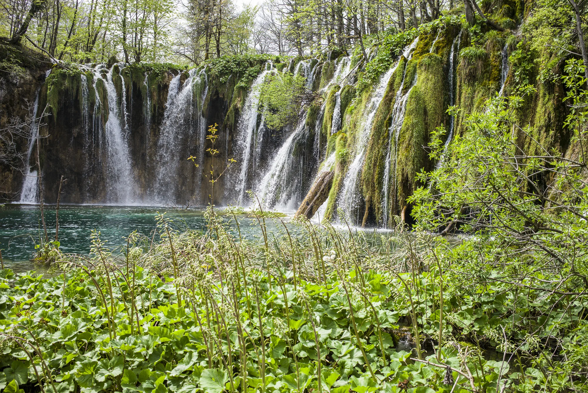 Falls and Green