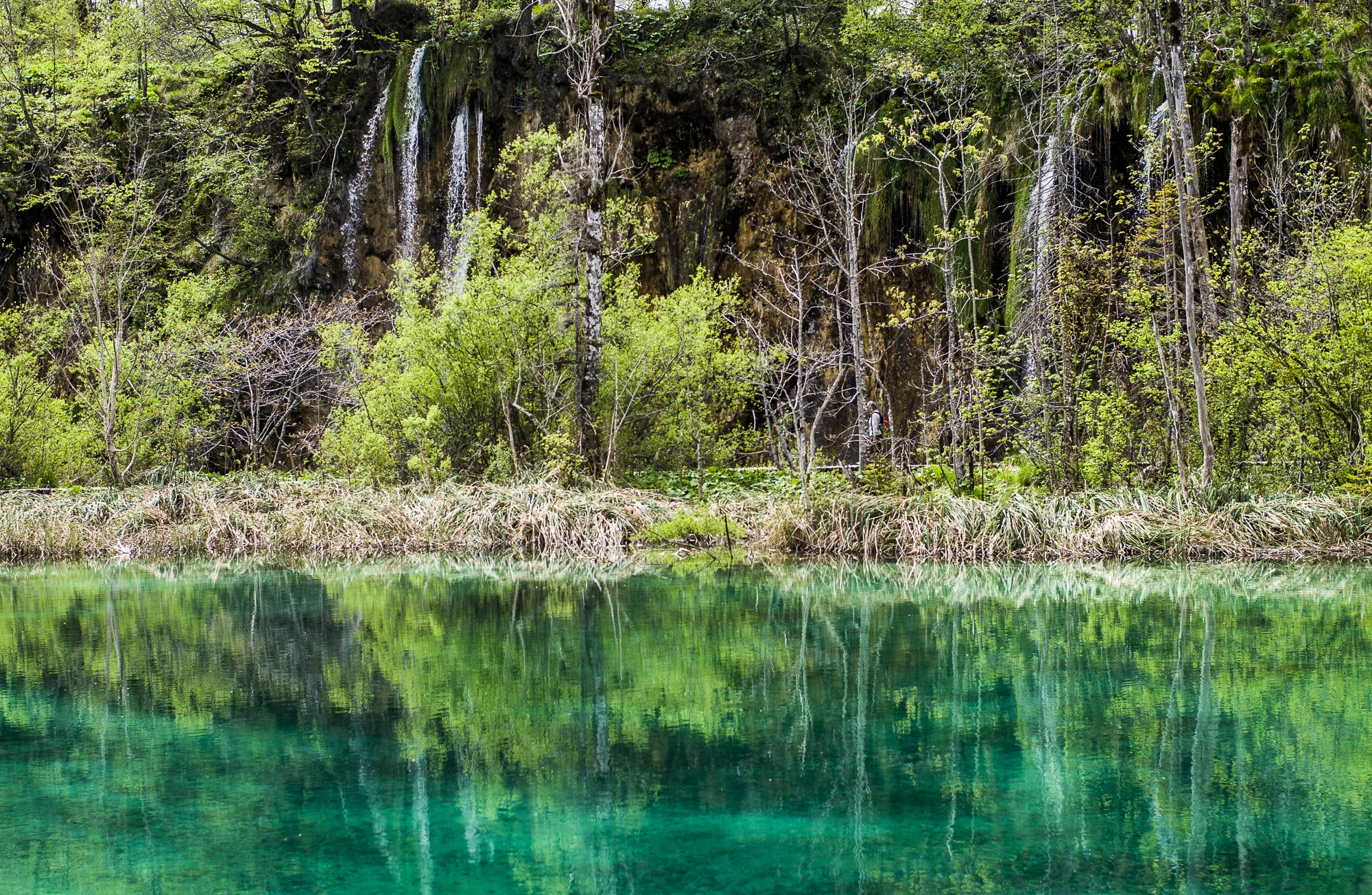 Green Reflection