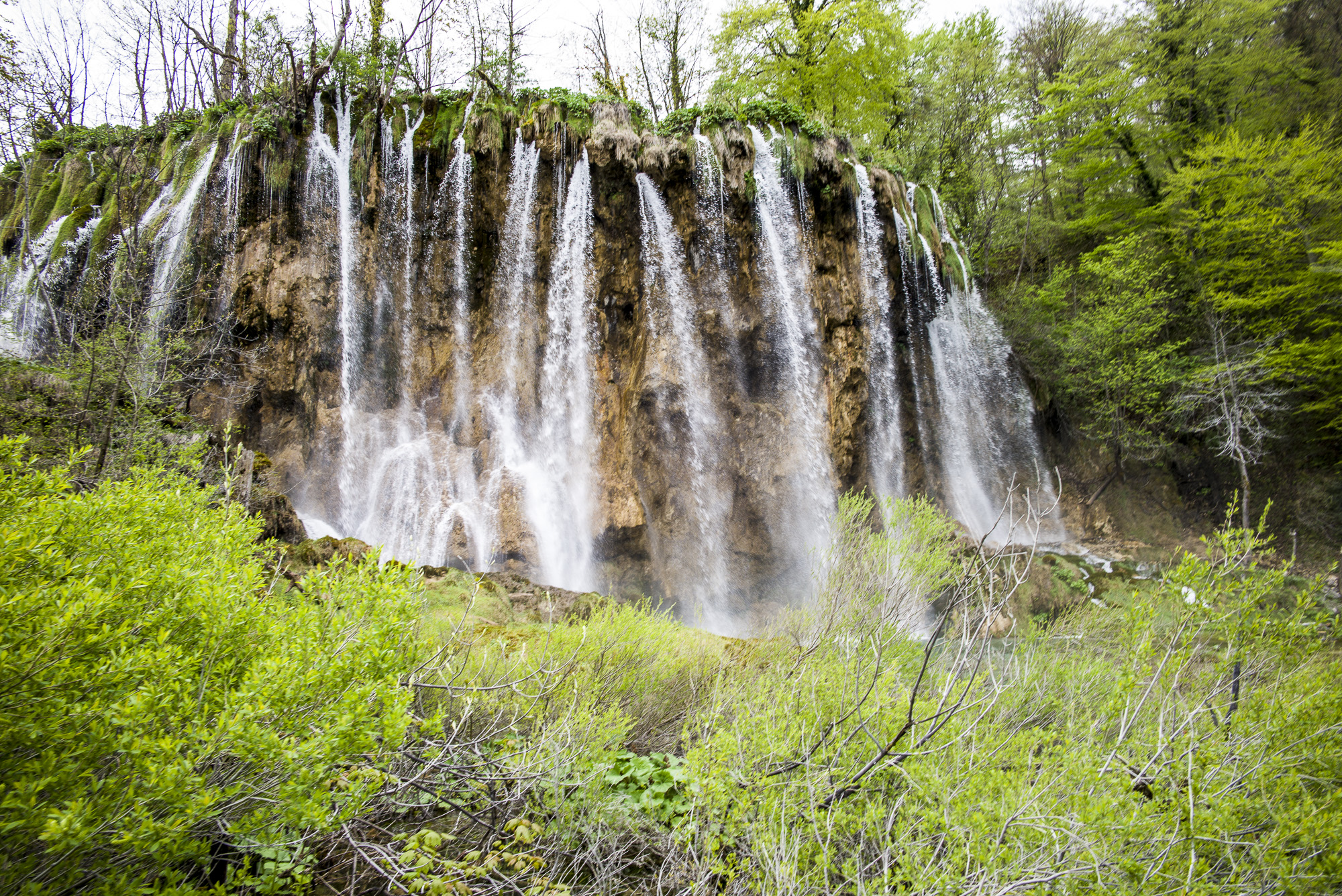 Falling Water 