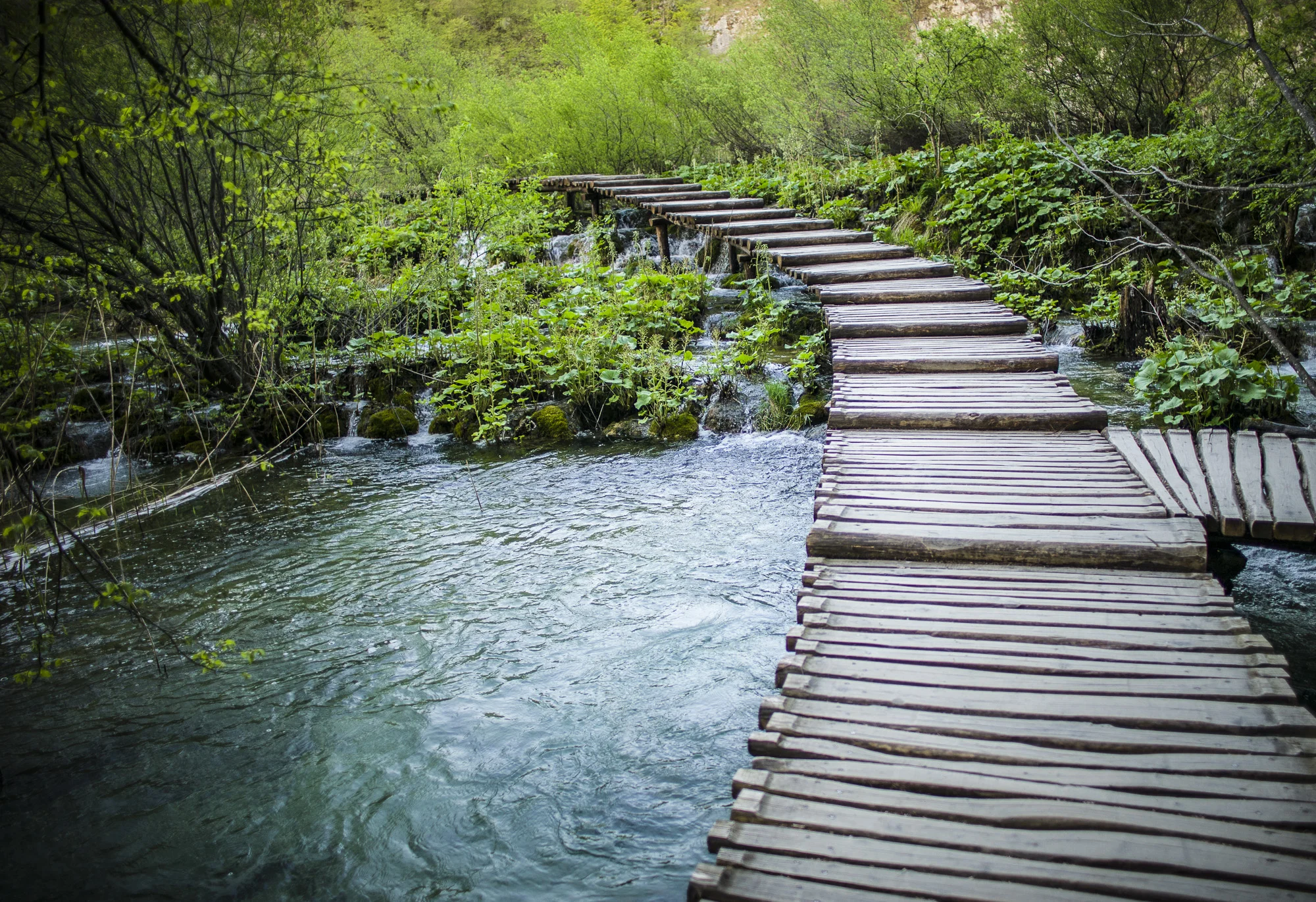 Water Pathway