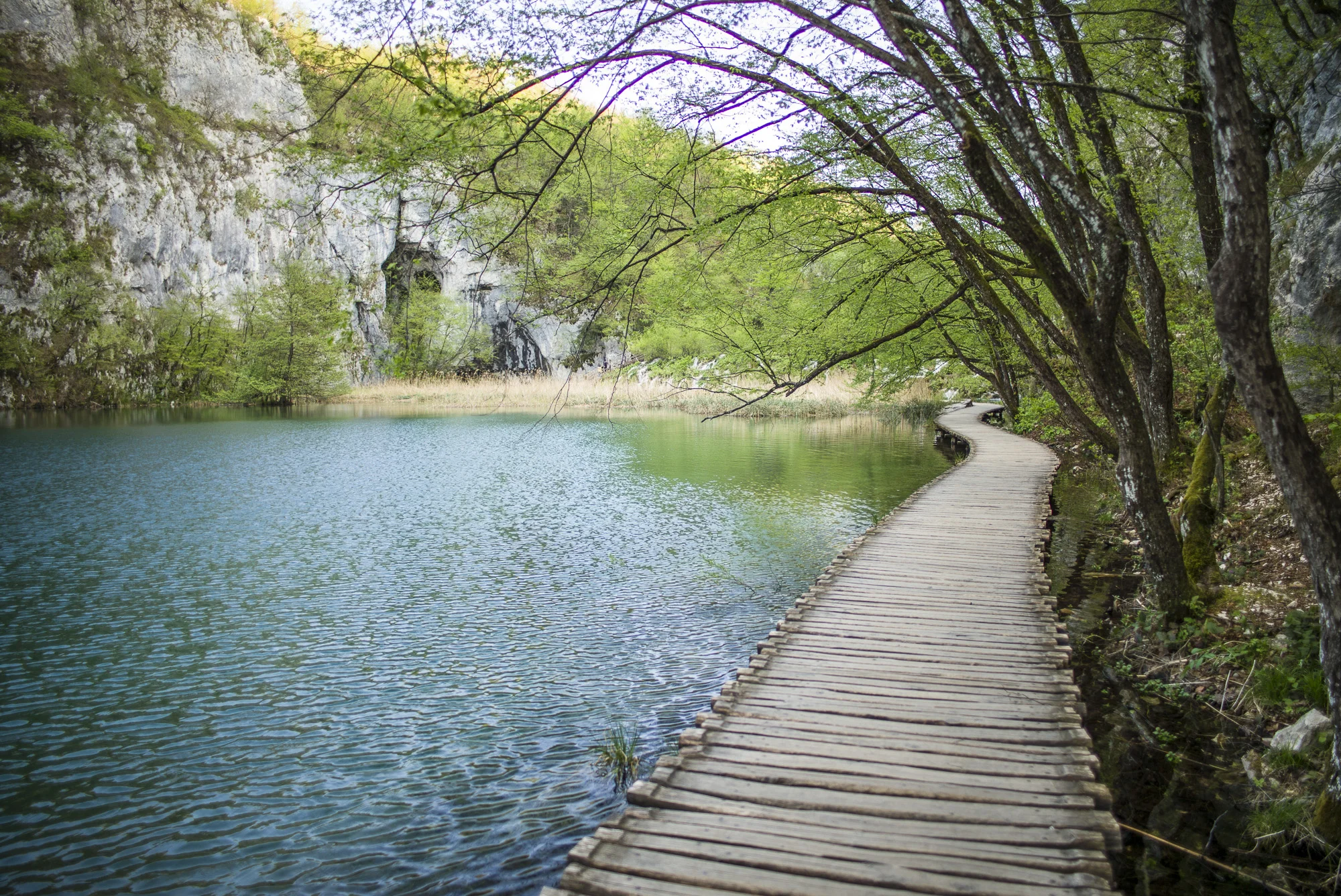 Path over the lake