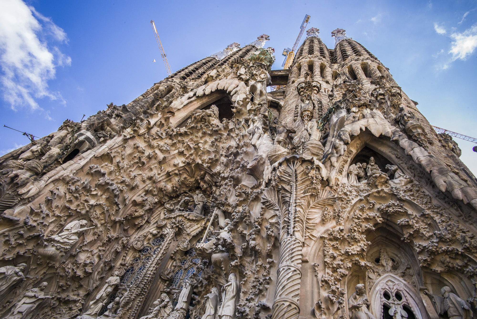 Looking up Sagrada La Familia