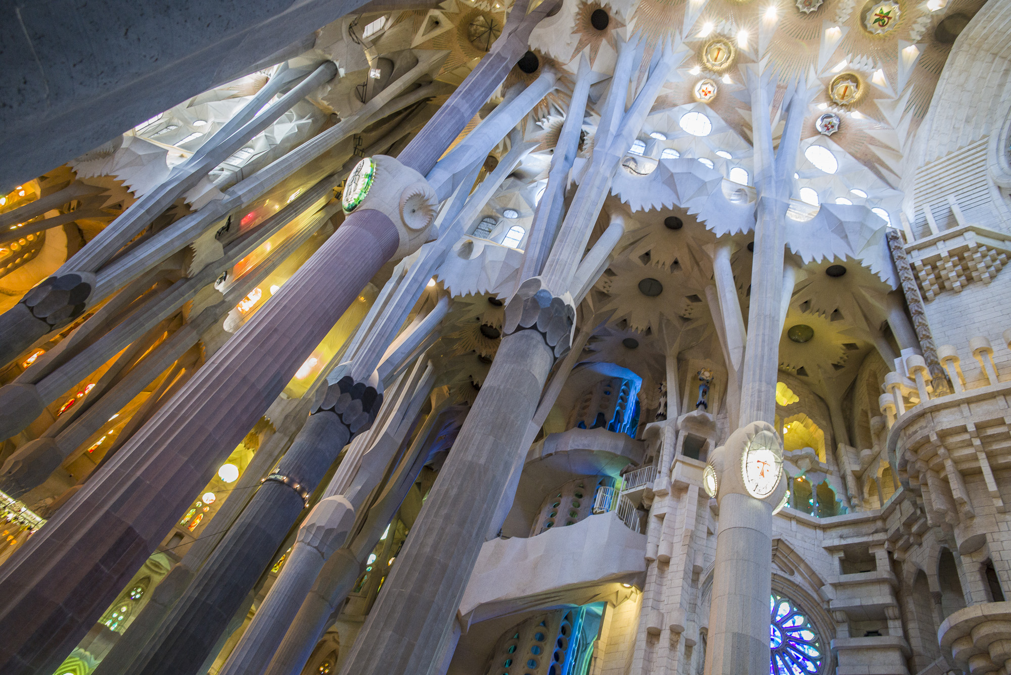 The ceiling of La Sagrada Familia 